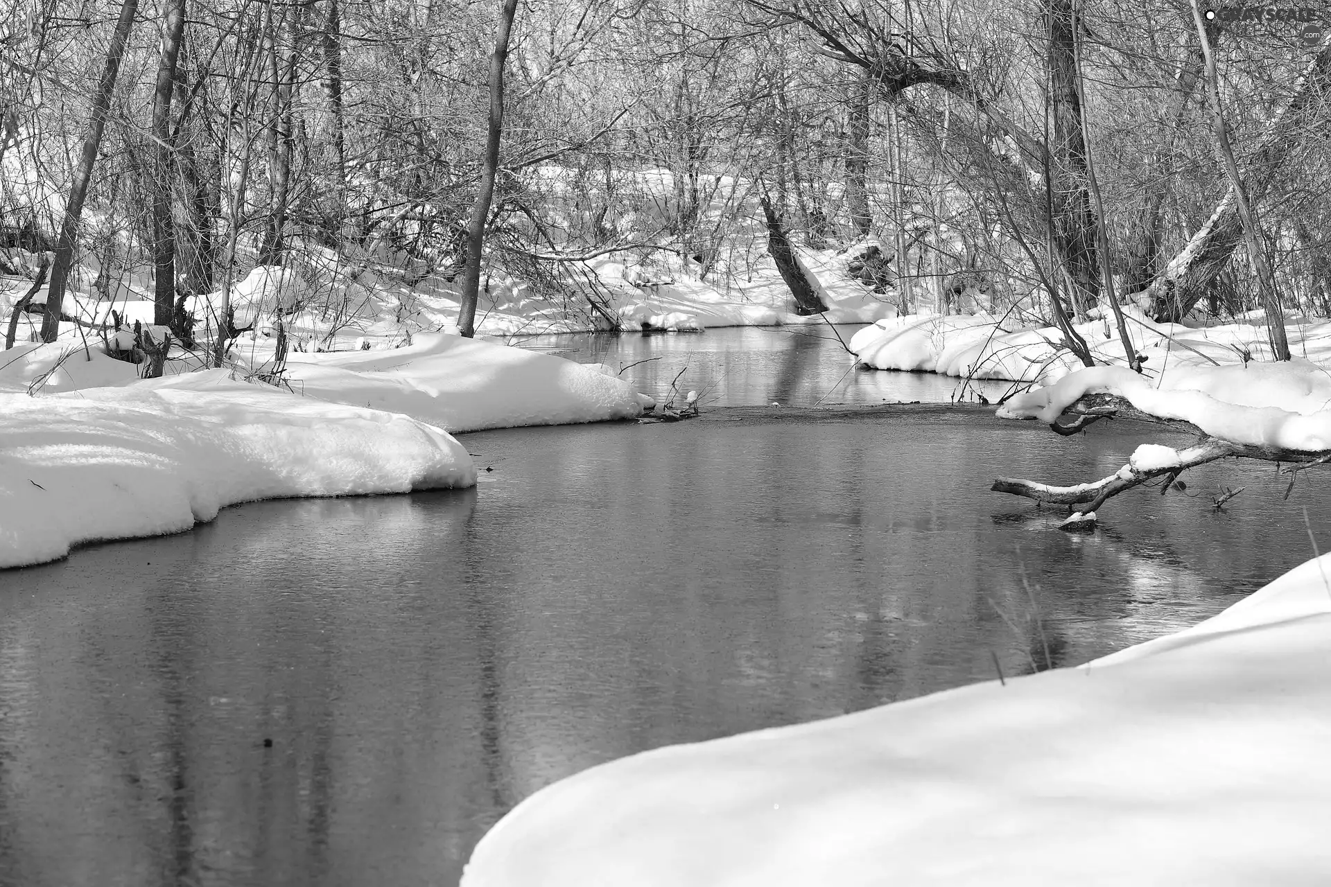 trees, winter, branch pics, River, viewes, snow