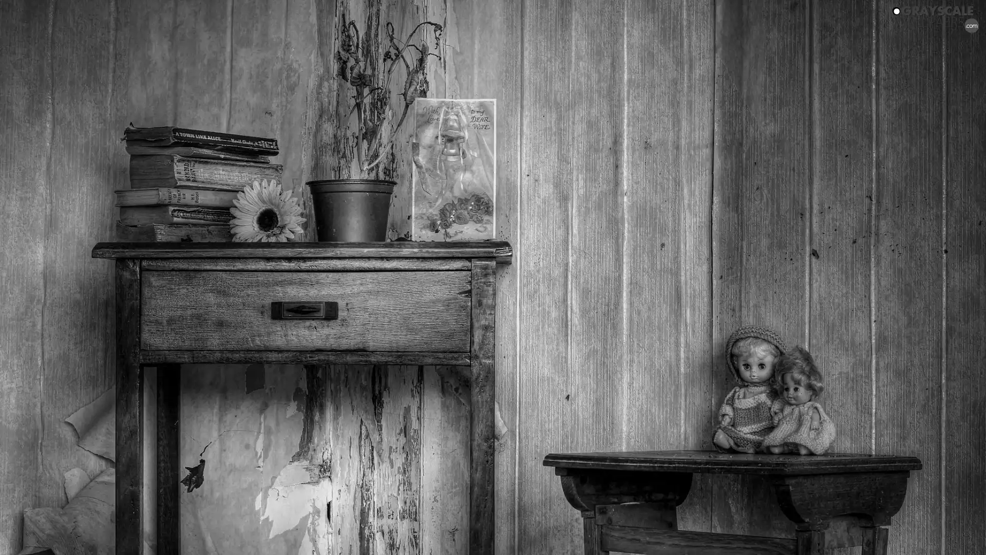 Books, dolls, interior, Piece of Furniture, Neglected