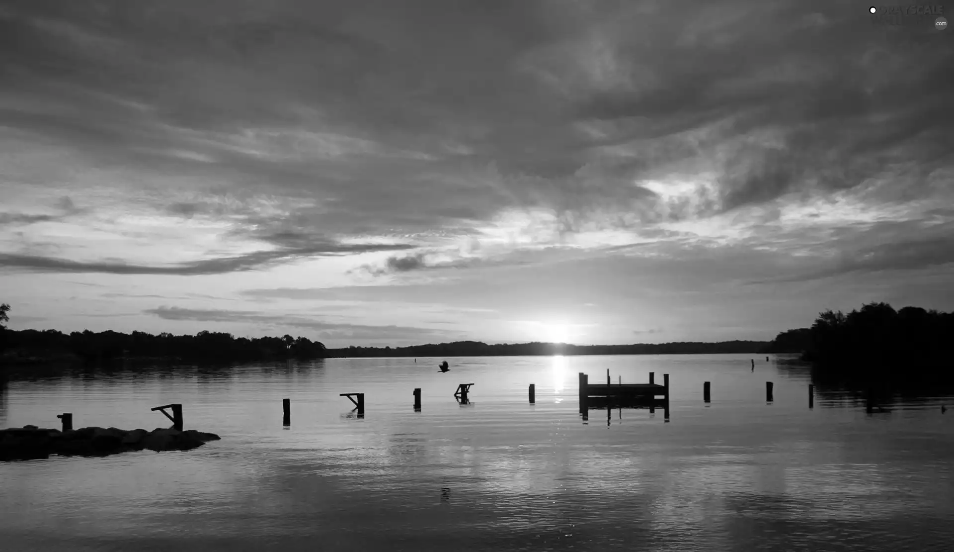 lake, pier