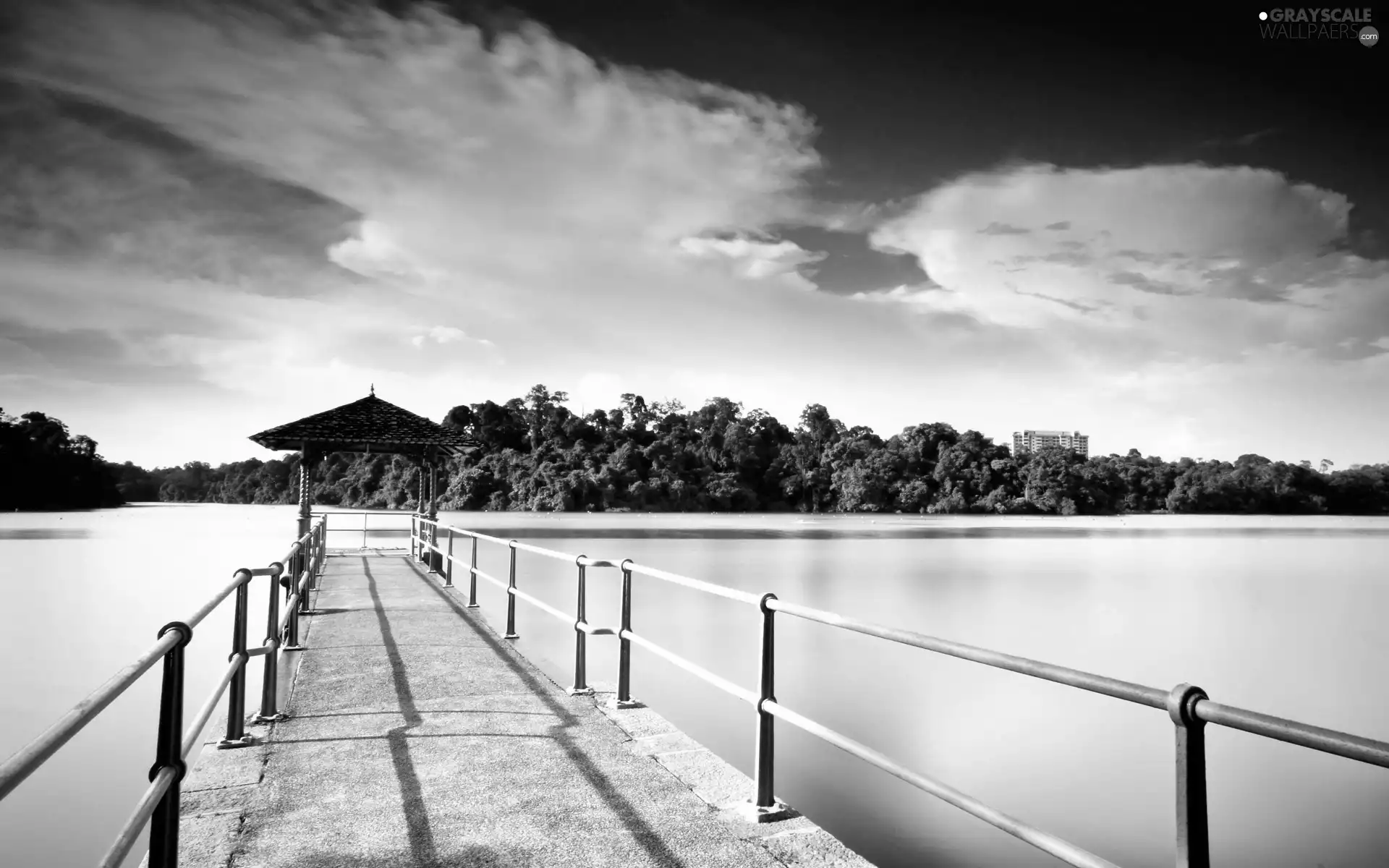 Sky, viewes, pier, trees