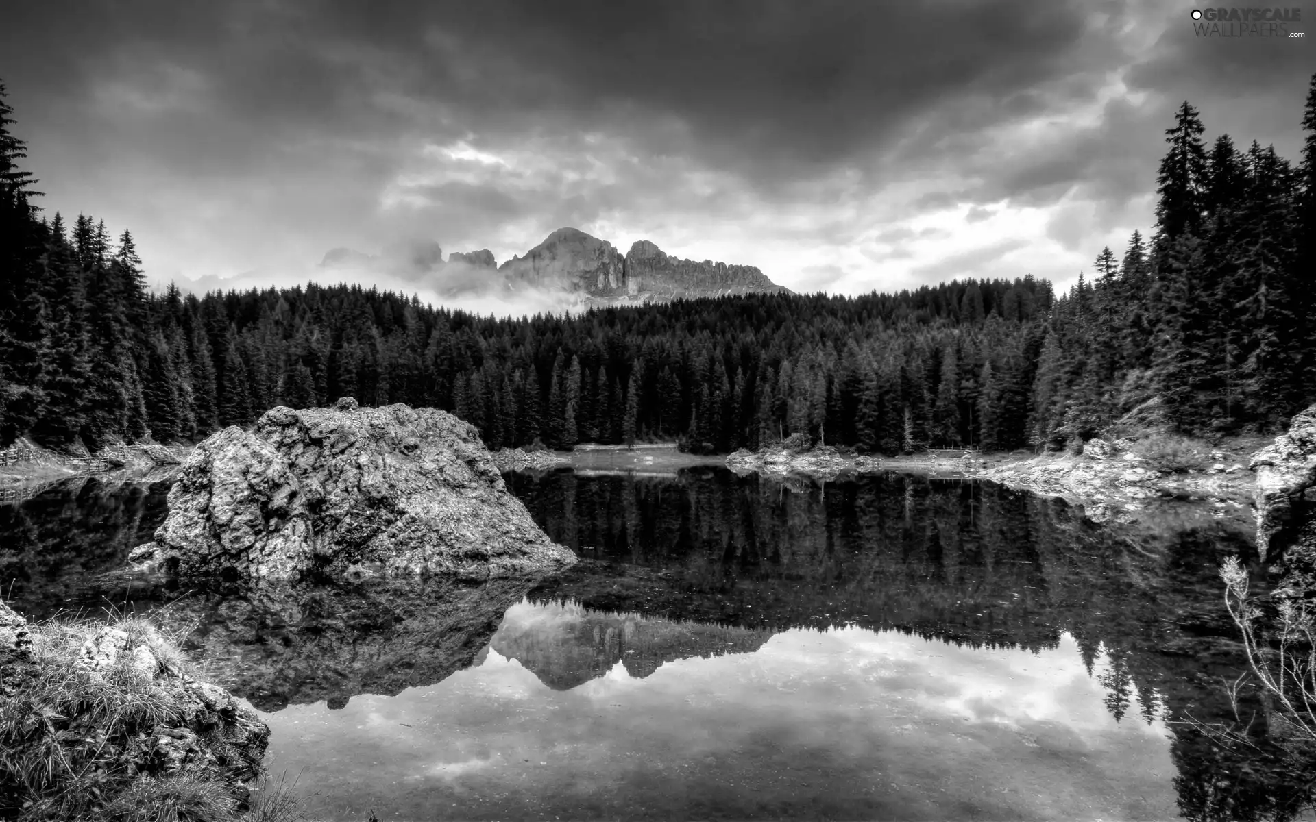pine, lake, forest