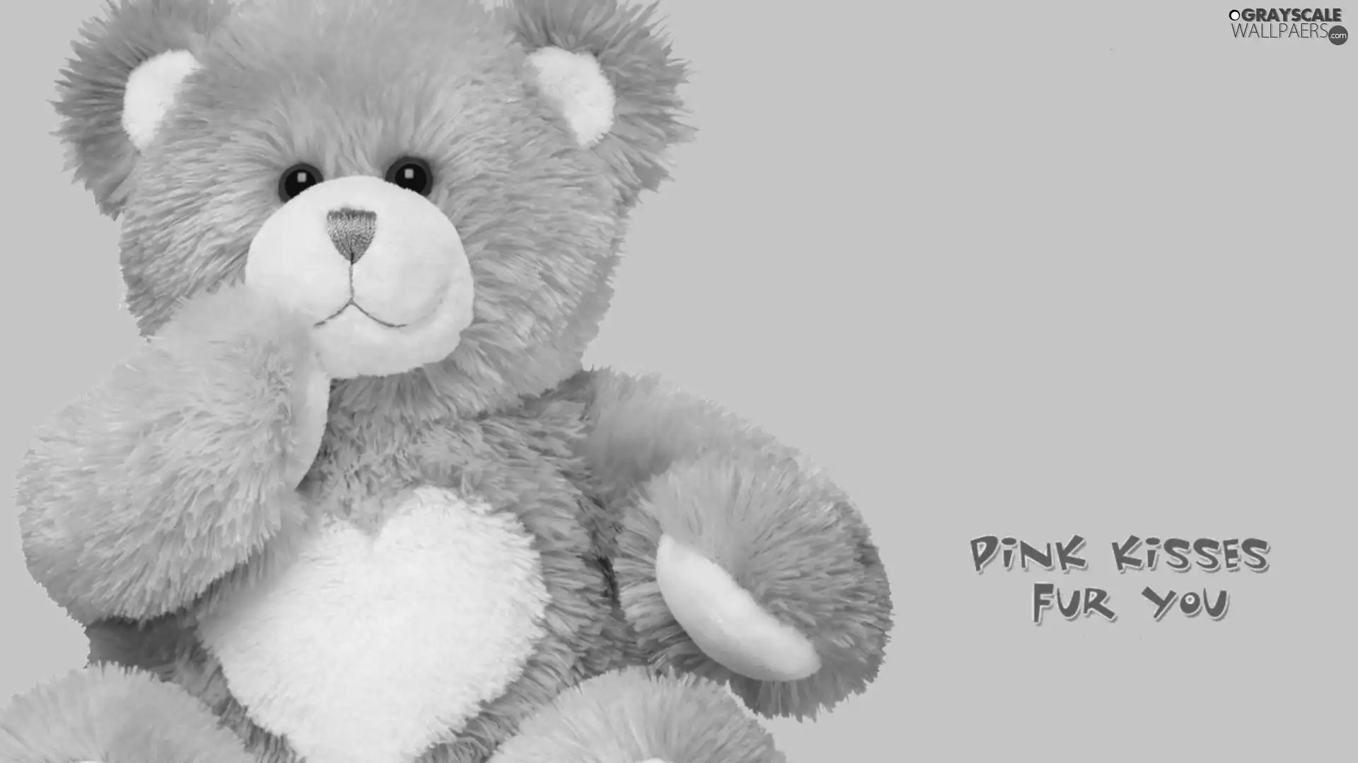 Fur, teddy bear, Pink