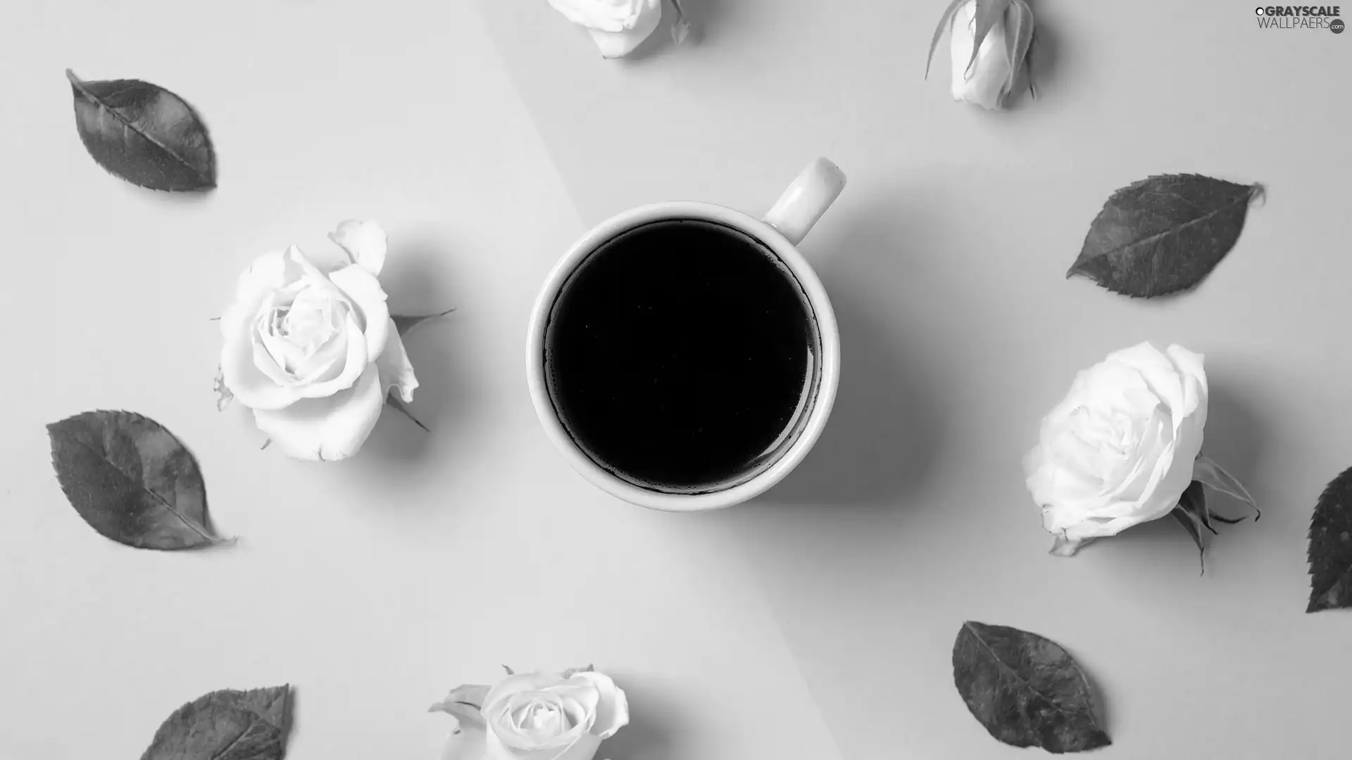 roses, coffee, Yellow-Pink, background, leaves, White
