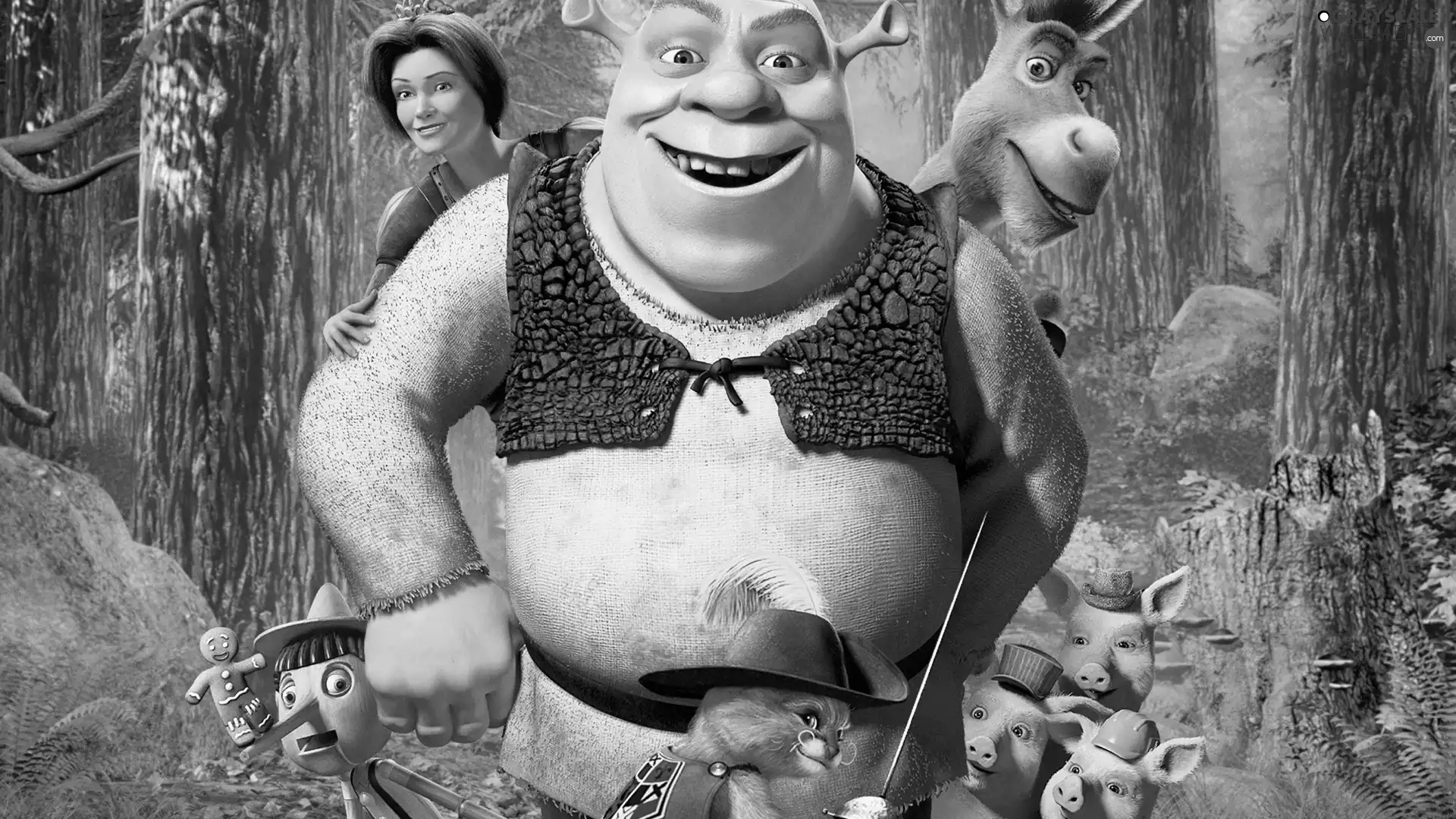 Fiona, Pinocchio, forest, cakes, mumps, donkey, Shrek, cat