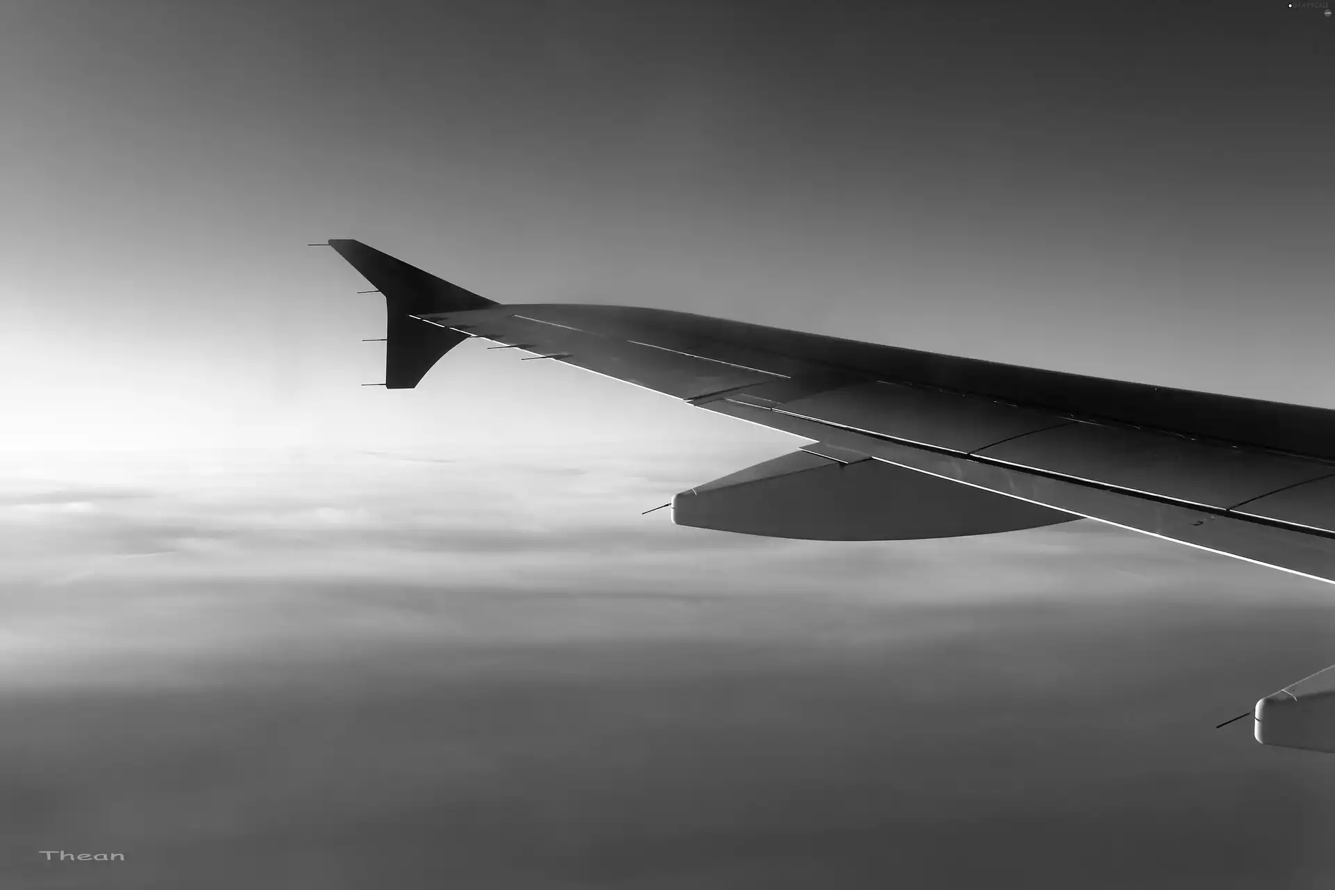 plane, Sky, wing