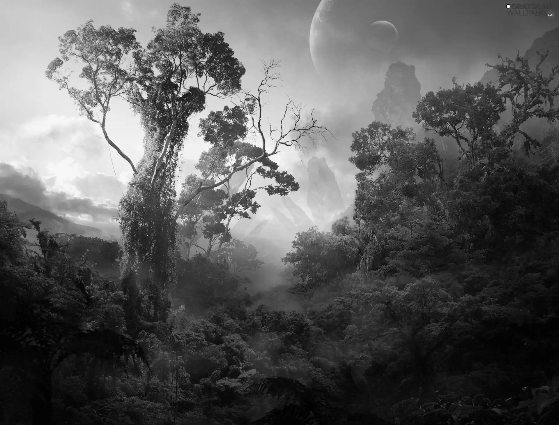 jungle, Sky, Planets, VEGETATION