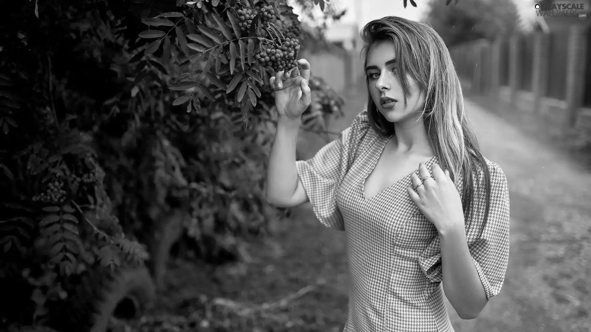 trees, Plant, Summer, dress, girl