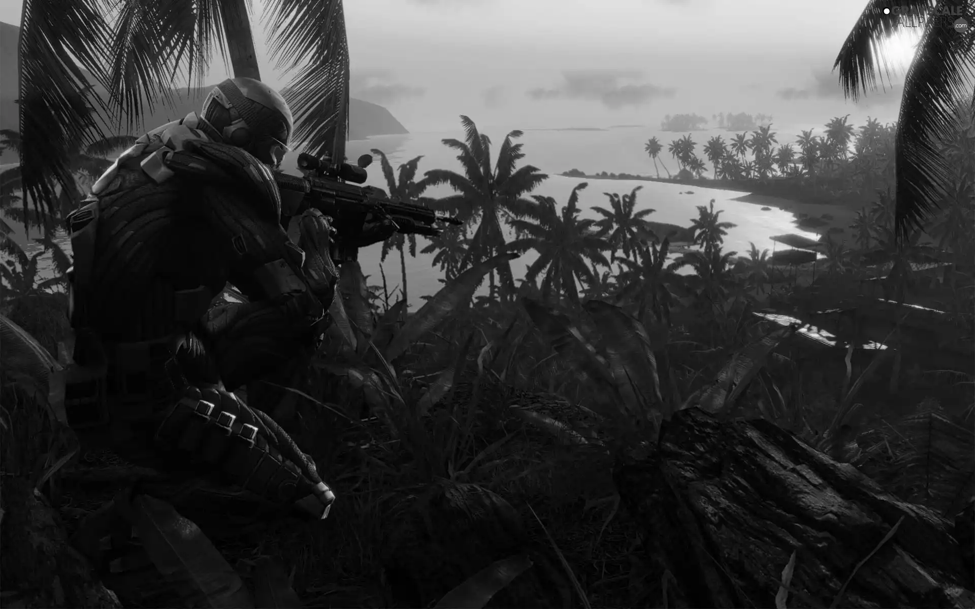 Crysis 3, Weapons, Plants, soldier