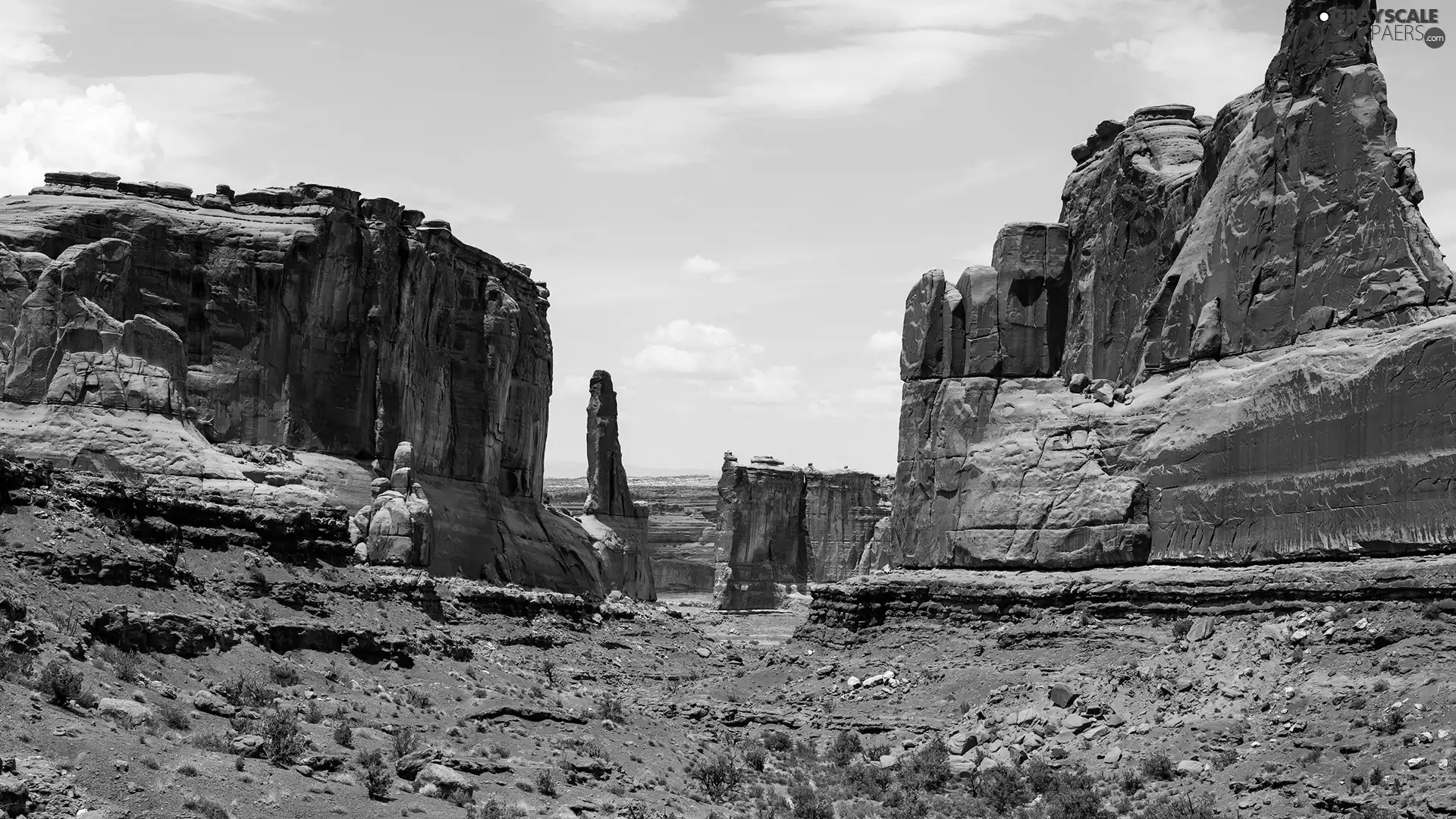 canyons, Plants