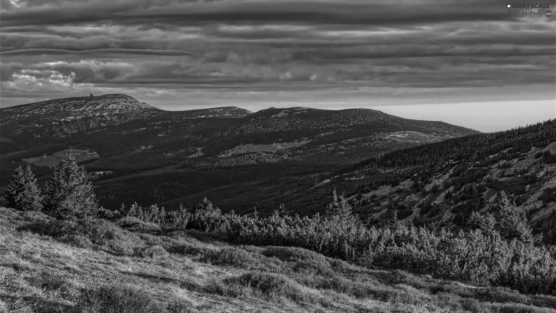 trees, Giant Mountains, Plants, clouds, Mountains, viewes, Poland