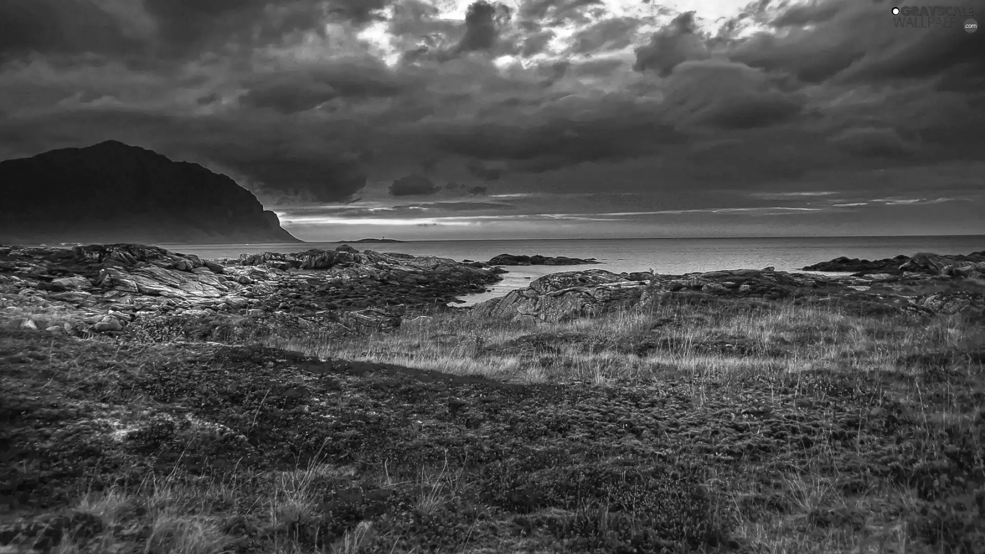 clouds, Stones rocks, Plants, sea