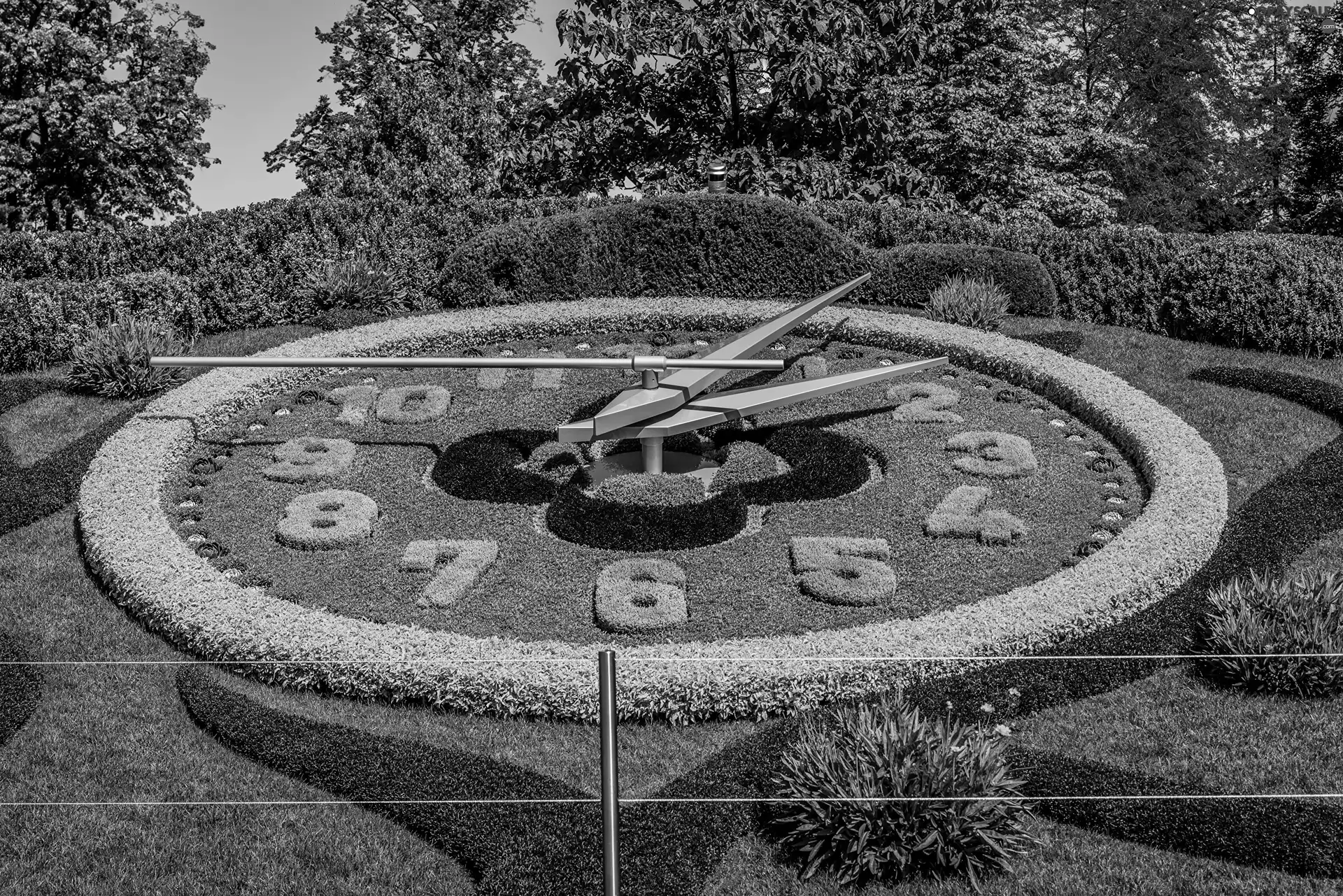 Tips, Plants, floral, Lawn, Clock