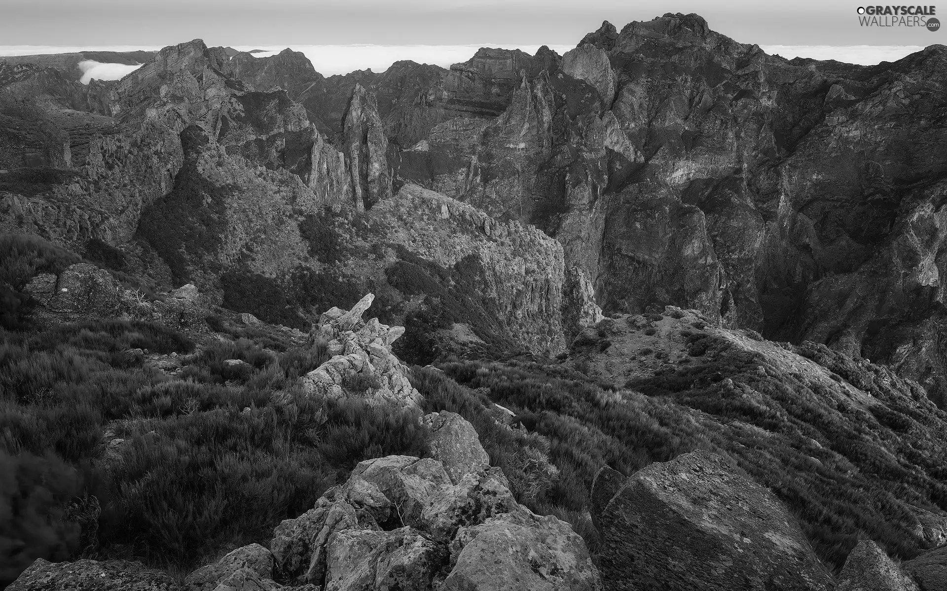 rocks, Plants, madeira, Mountains, Portugal