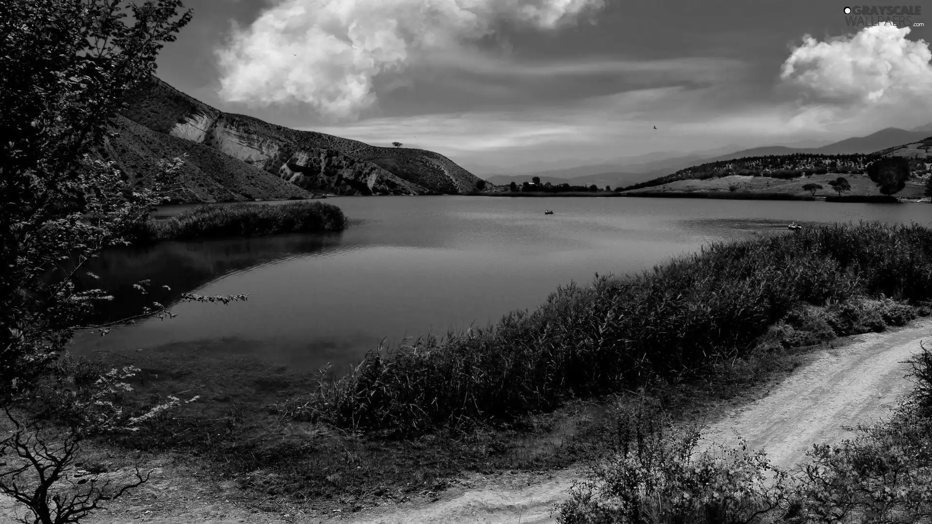 Mountains, coast, Plants, lake