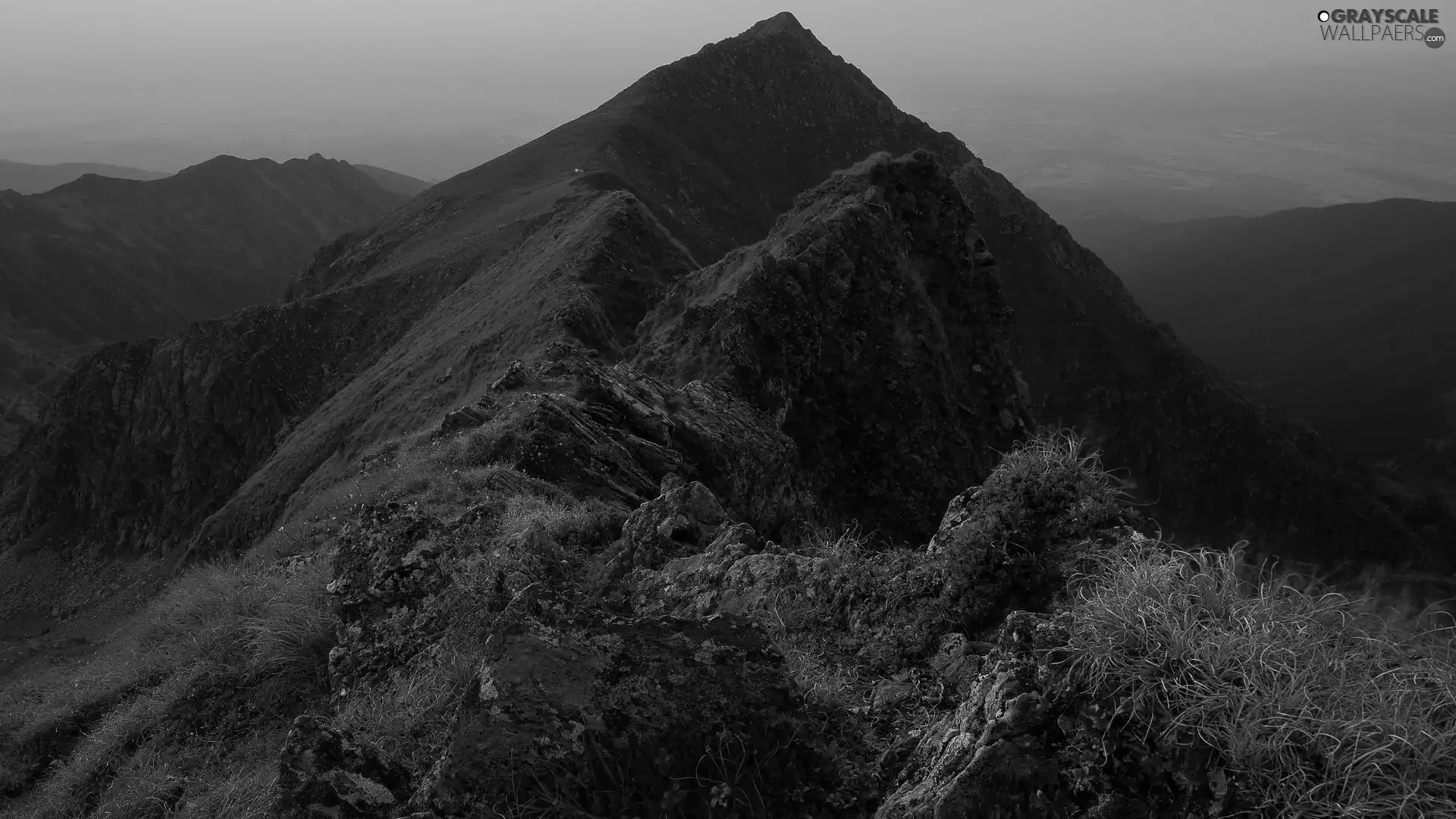 rocks, Plants, Mountains, mount, morning