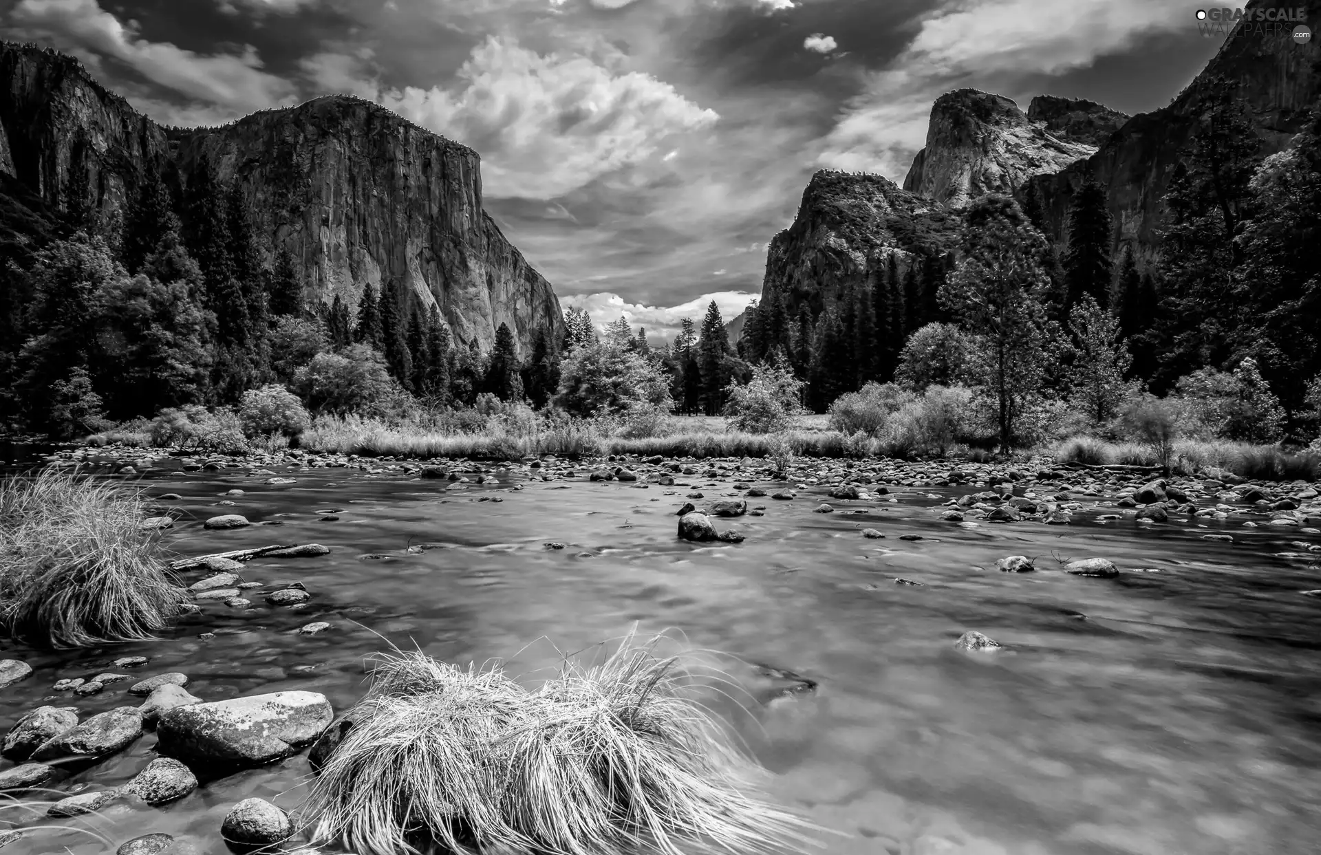 Mountains, Stones, Plants, River