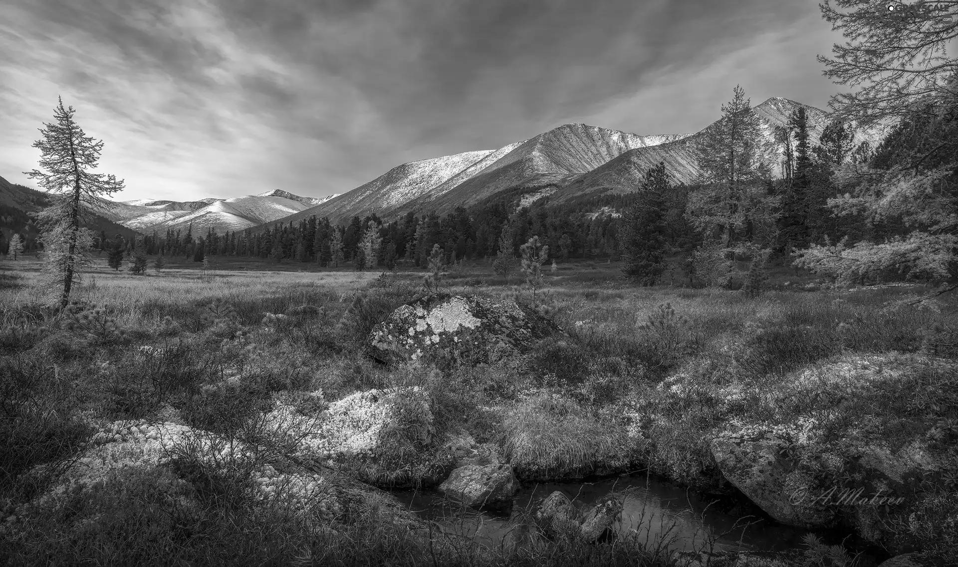 rocks, autumn, viewes, Plants, trees, Mountains