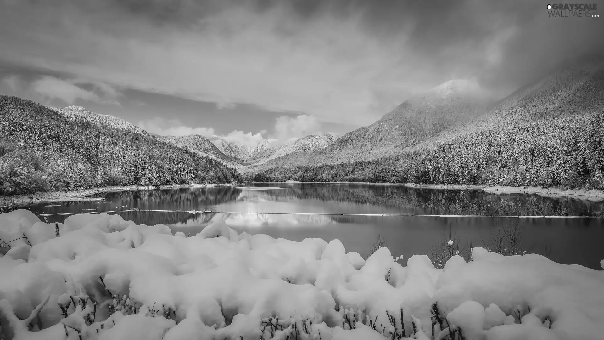 Snowy, Plants, Mountains, lake, winter