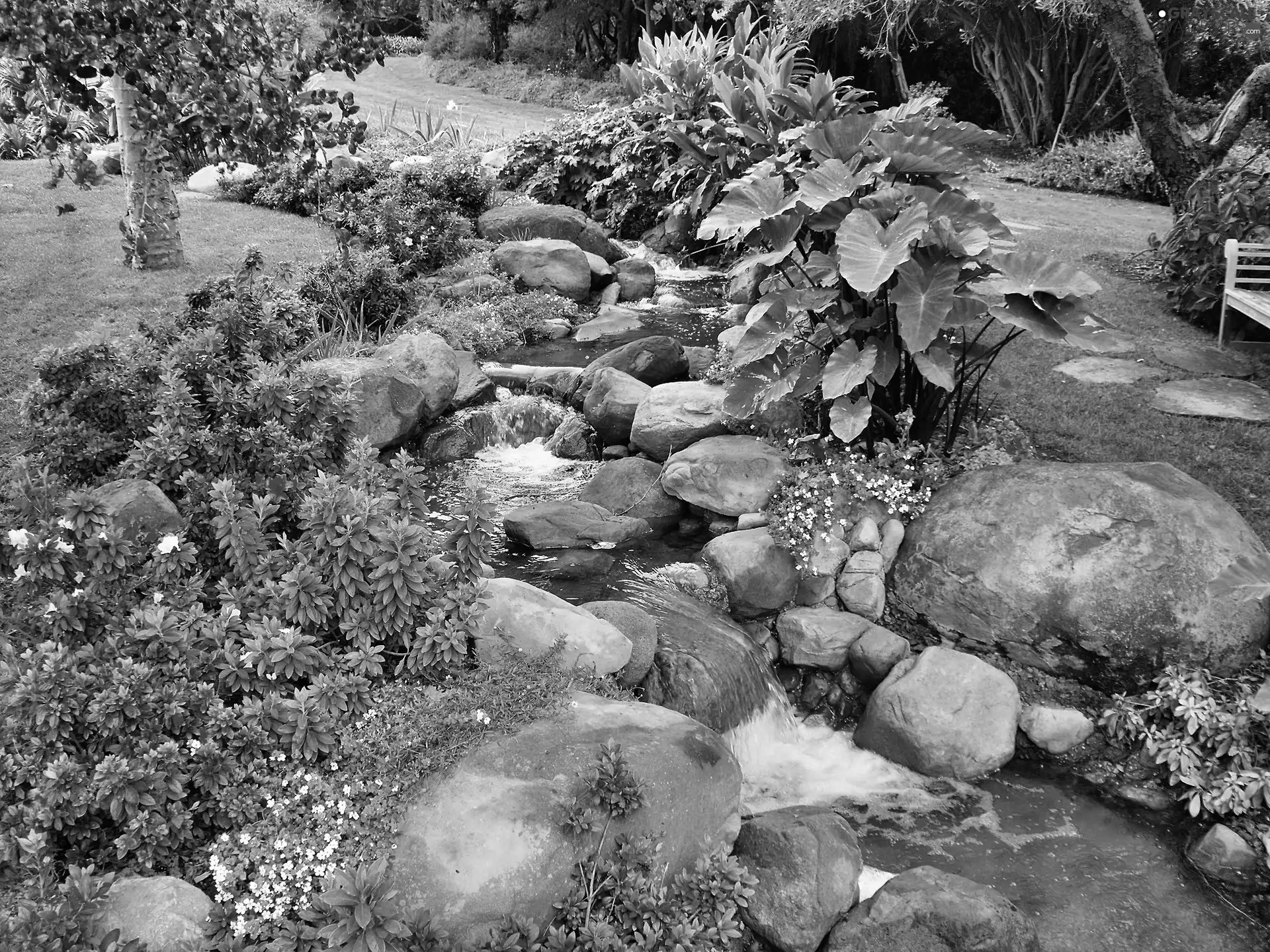 Park, Stones, Plants, rock