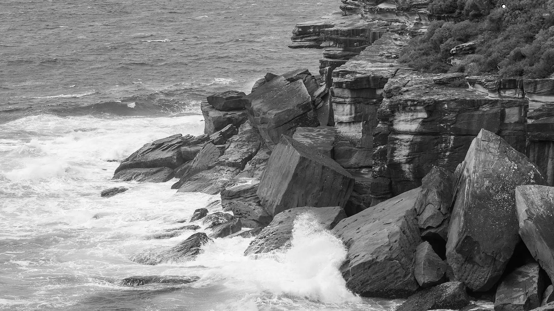 rocks, sea, Waves, Plants