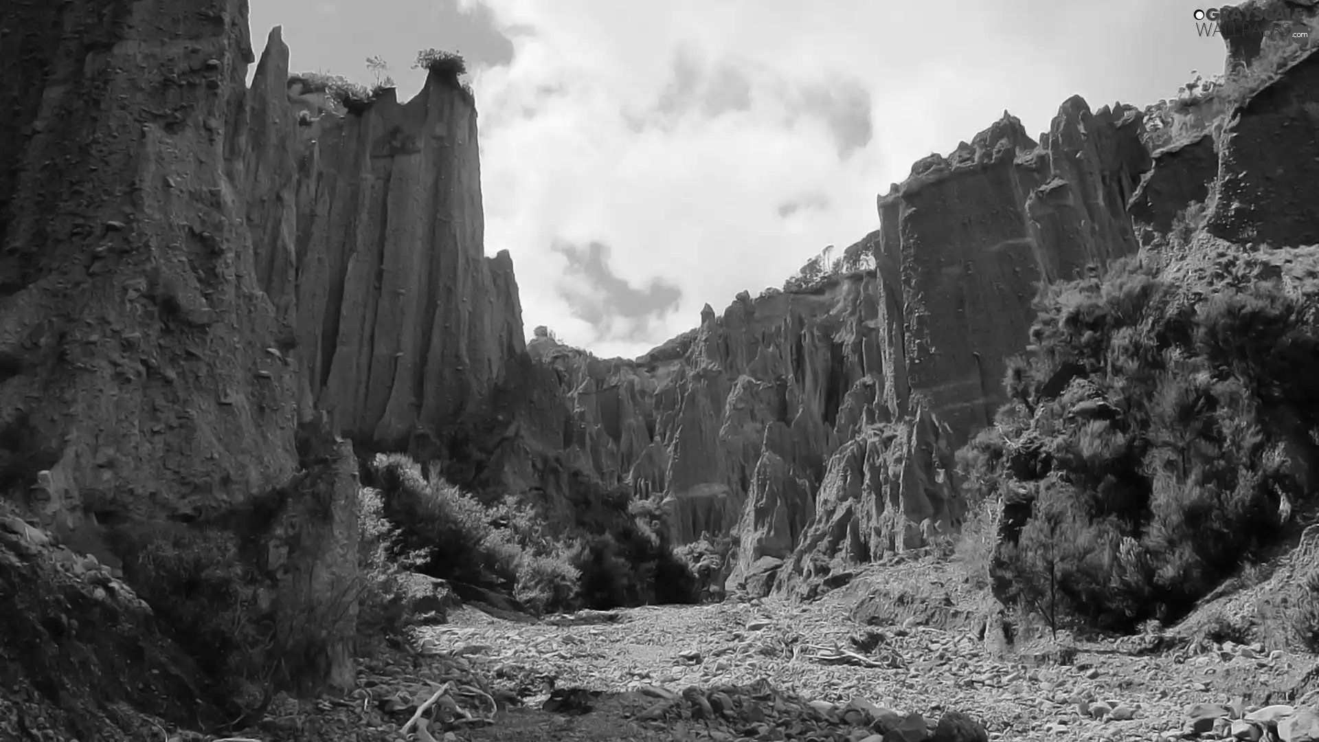 Plants, canyons, Sky