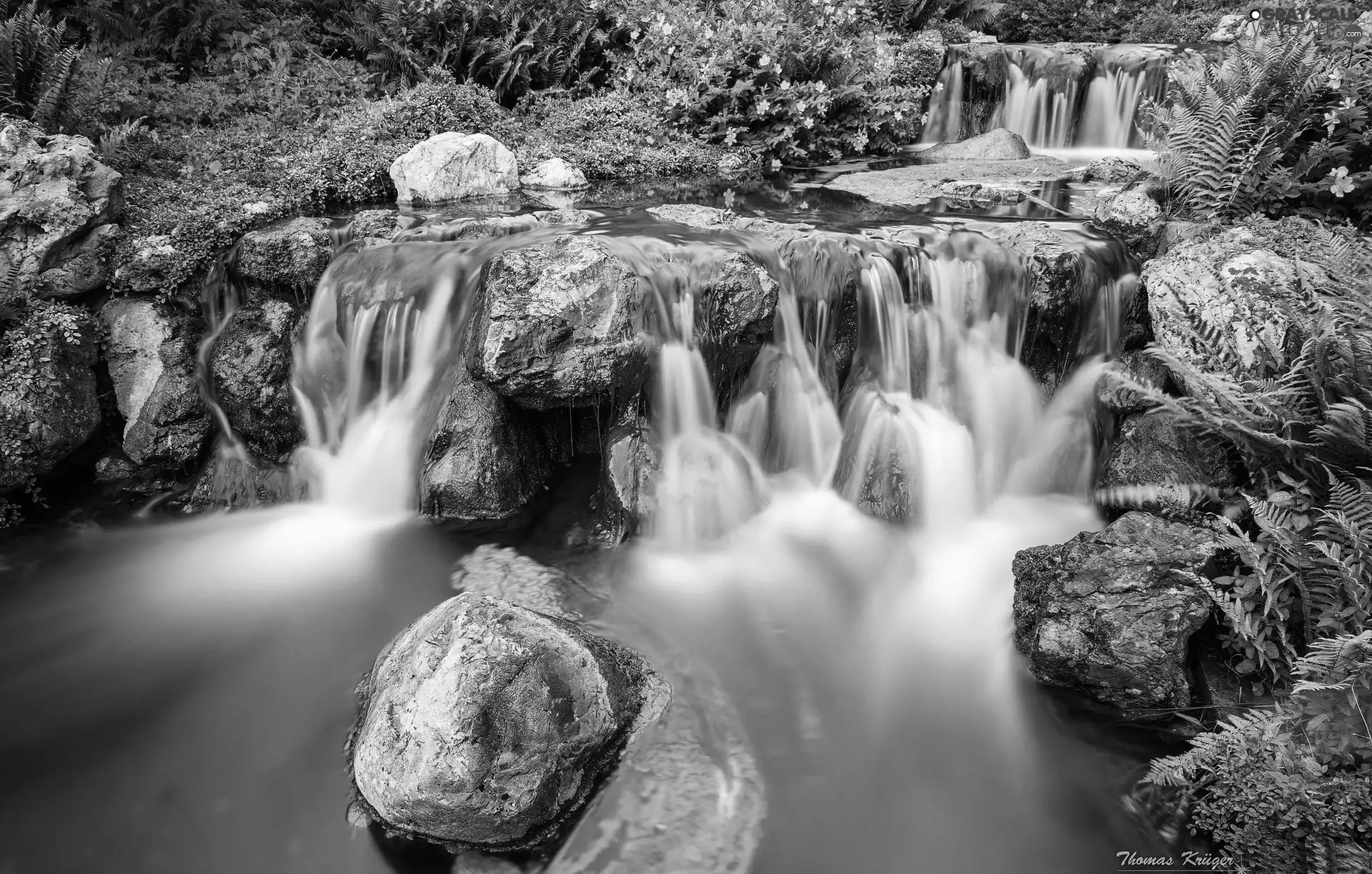 Plants, waterfalls, Stones