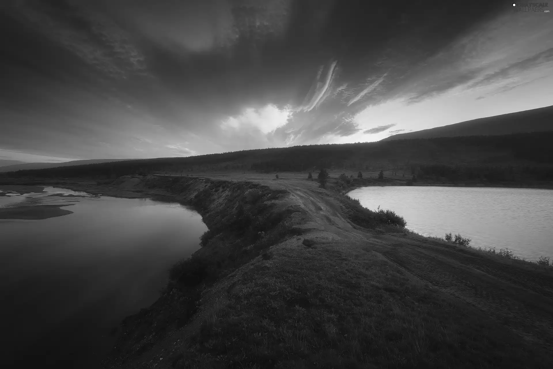 lake, Plants, Sunrise, clouds, morning