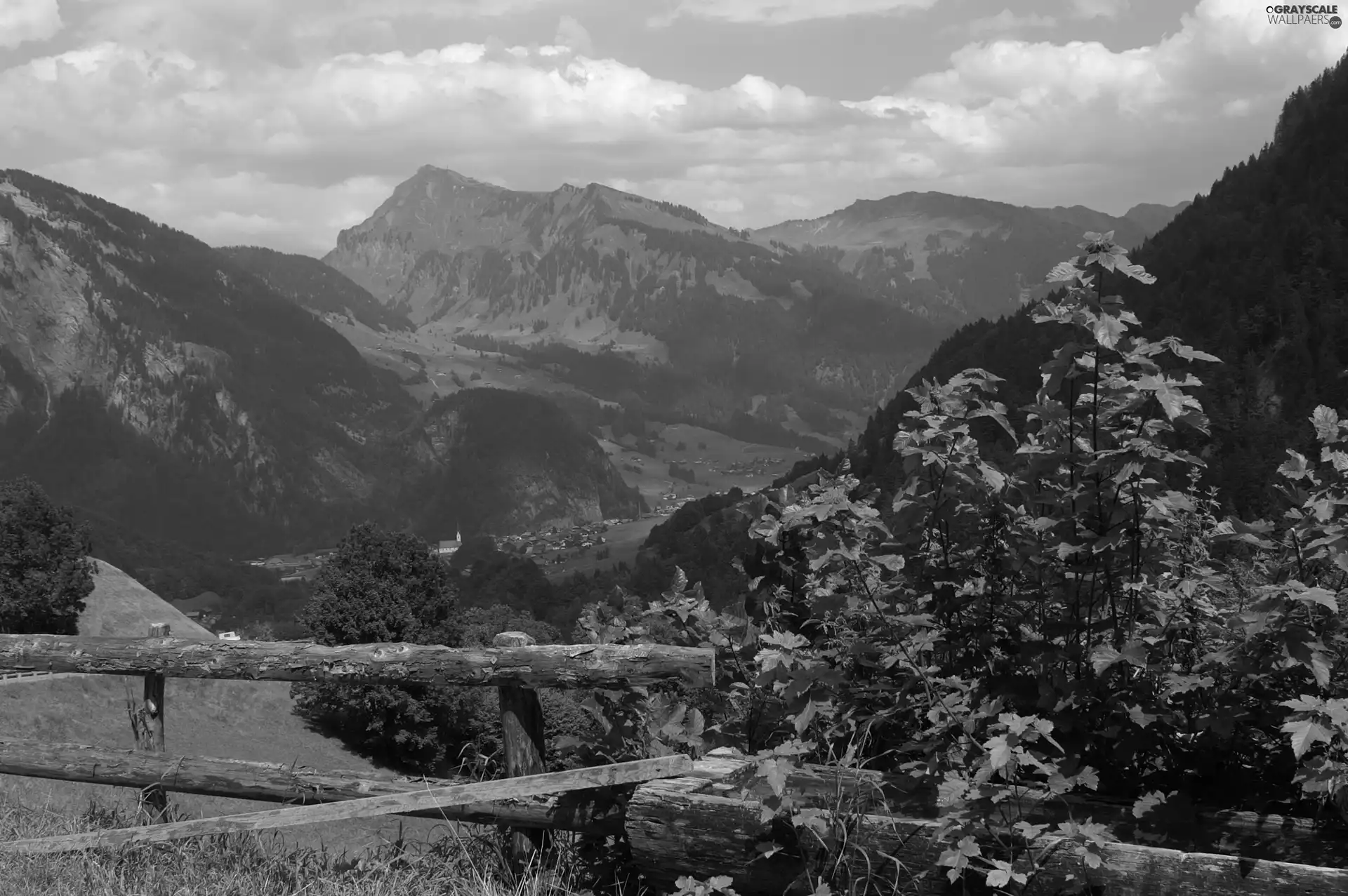 Au Vorarlberg, fence, Plants, Austria