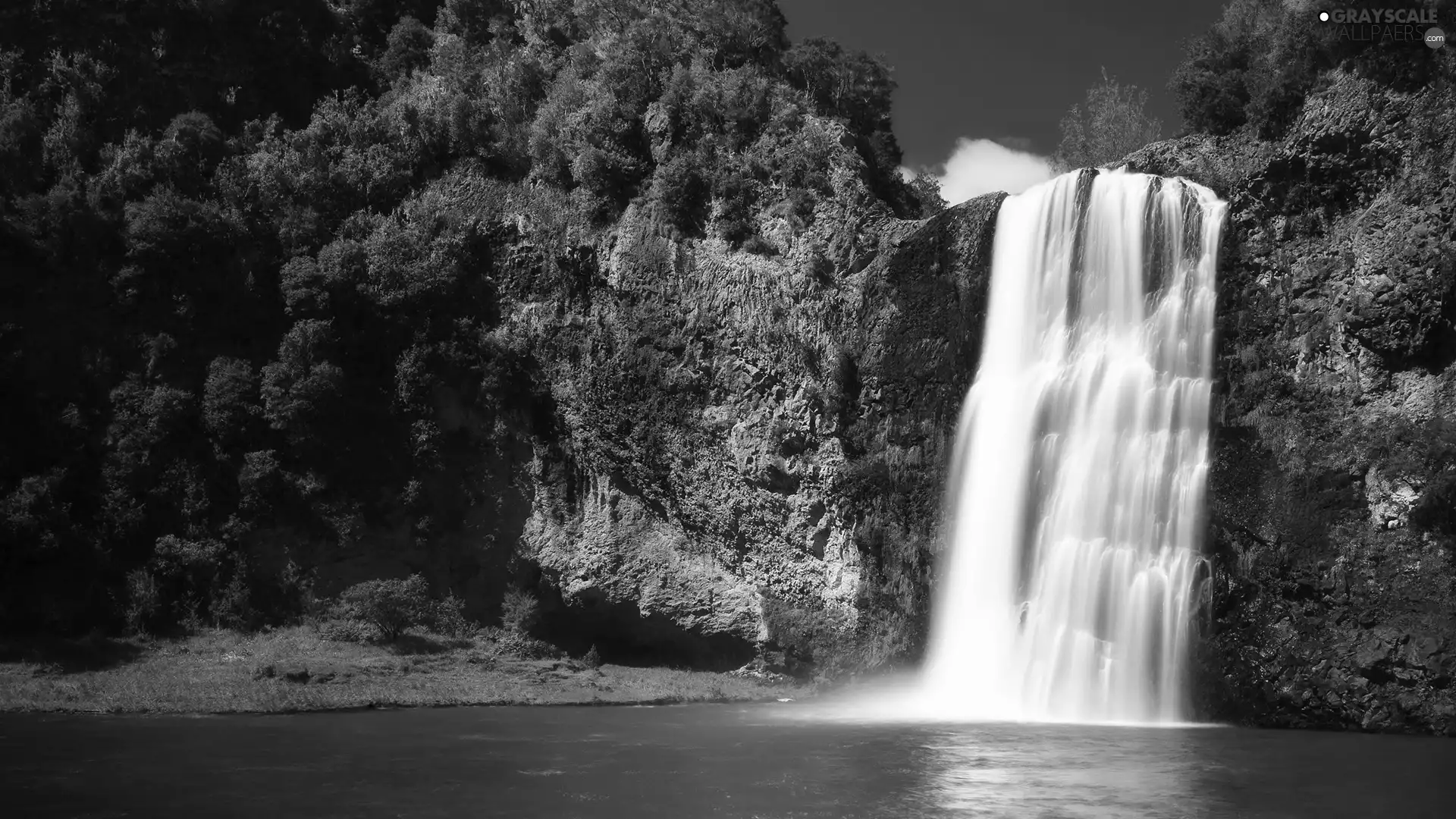 waterfall, rocks, Plants, height