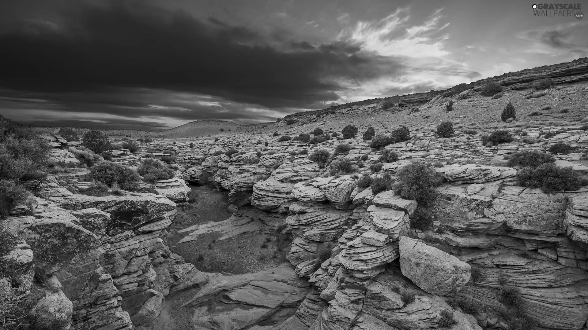 west, rocks, Plants, sun