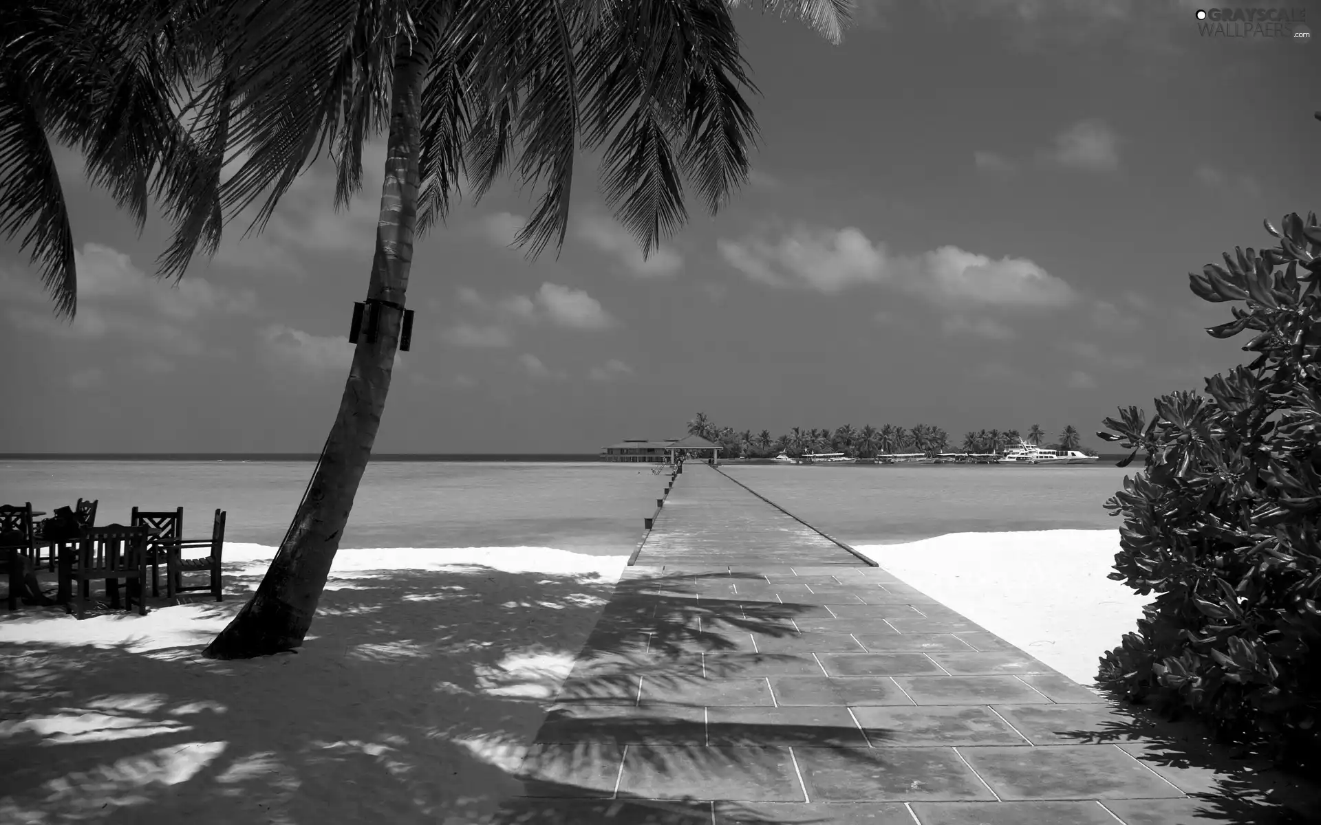 Platform, Ocean, Beaches