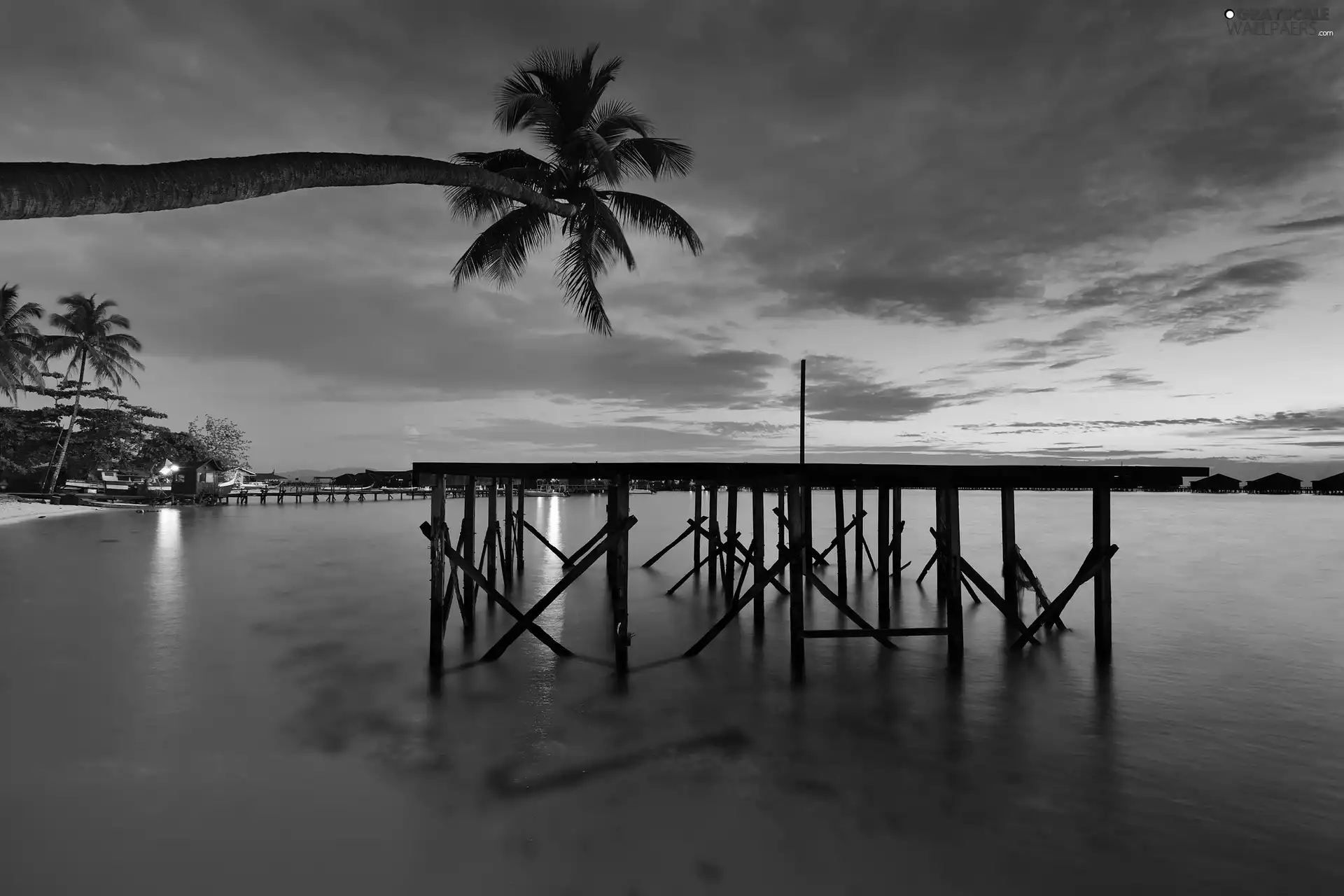 Platform, sea, Palm