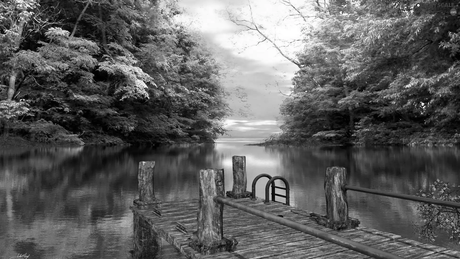 River, viewes, Platform, trees