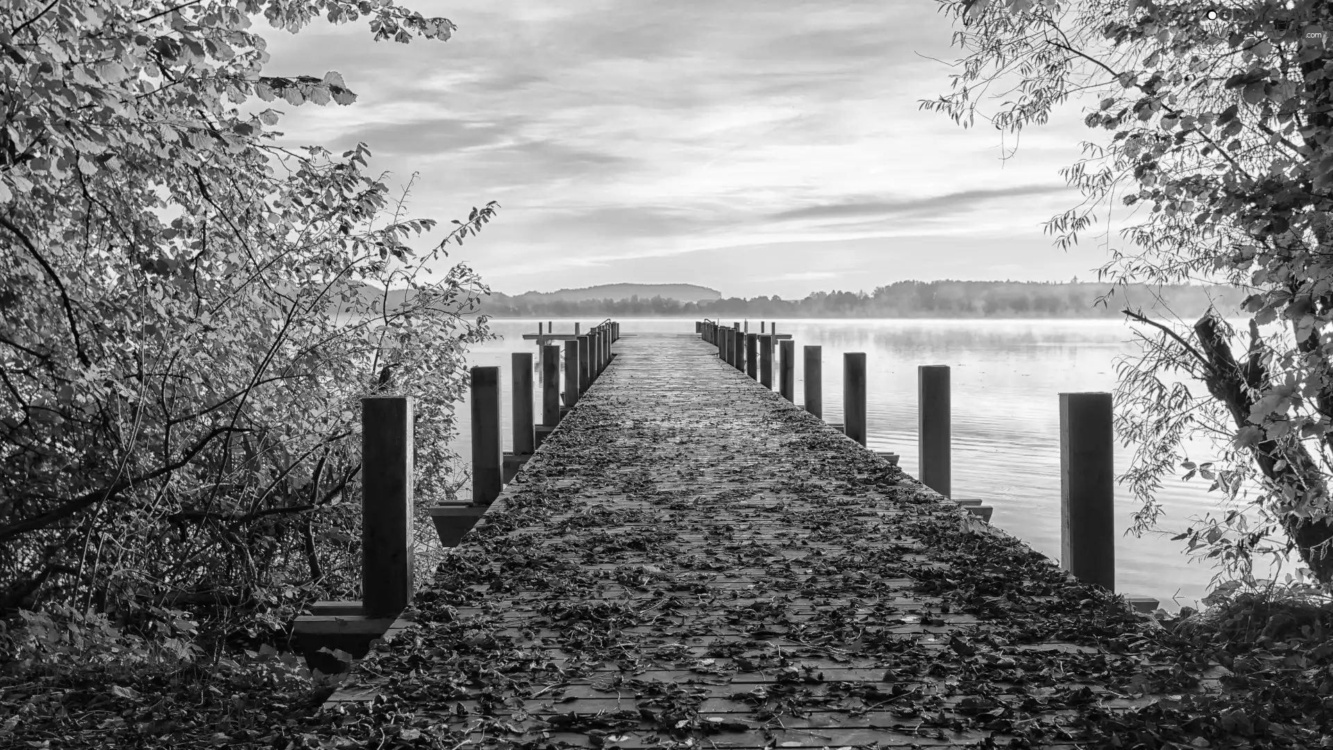 Leaf, lake, viewes, Platform, autumn, trees, Sunrise