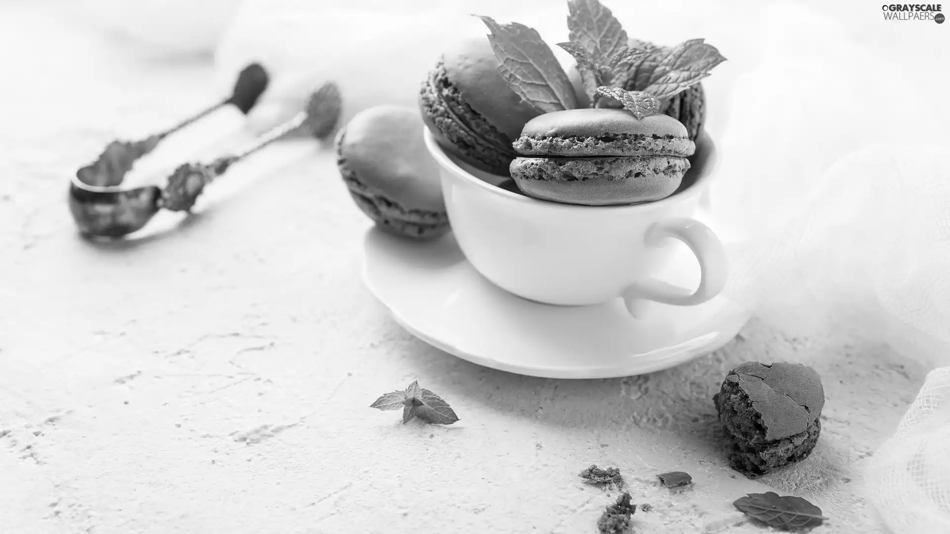 mint, pliers, cup, Macaroons, White
