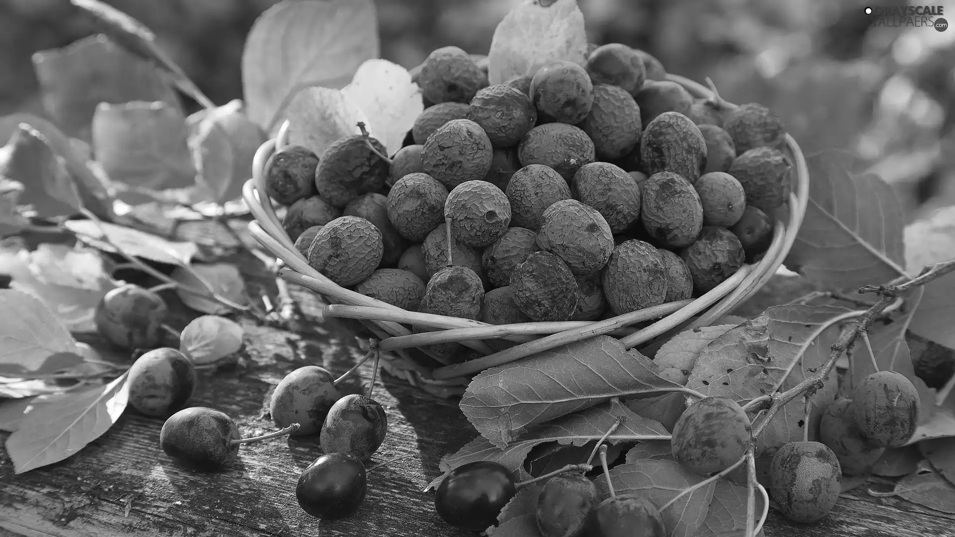 basket, plums