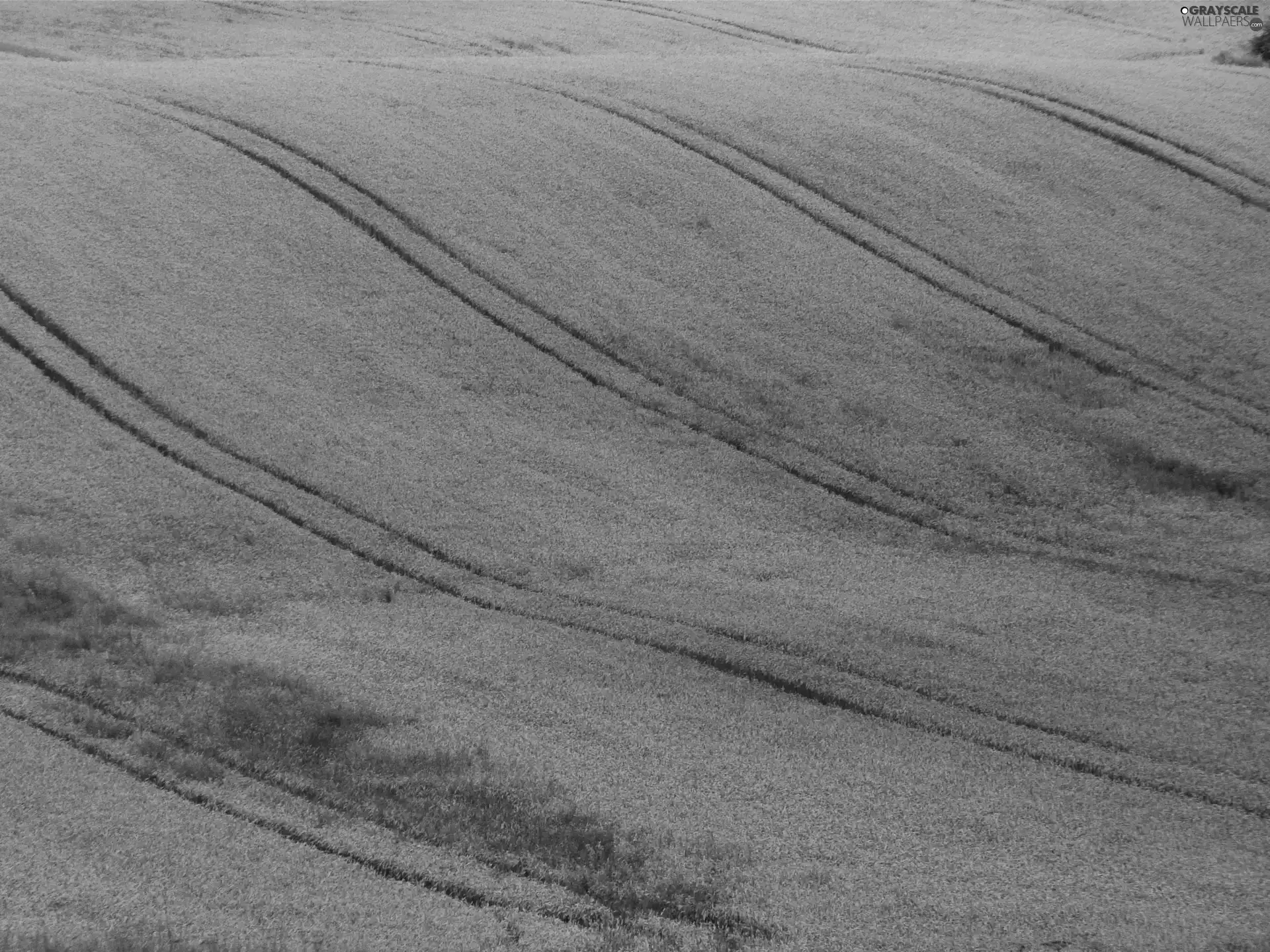 Poland, Field, traces