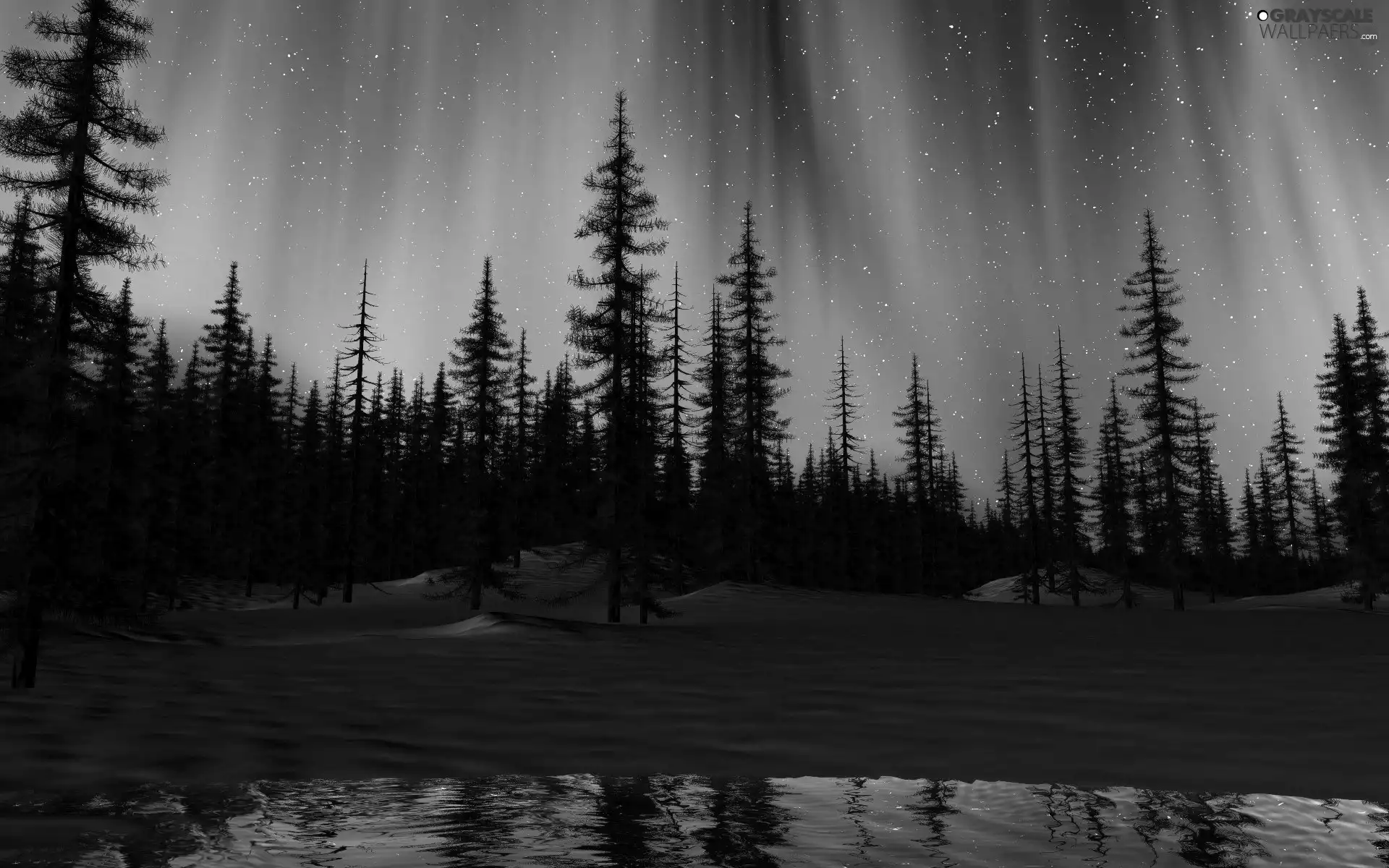 Polaris, forest, dawn