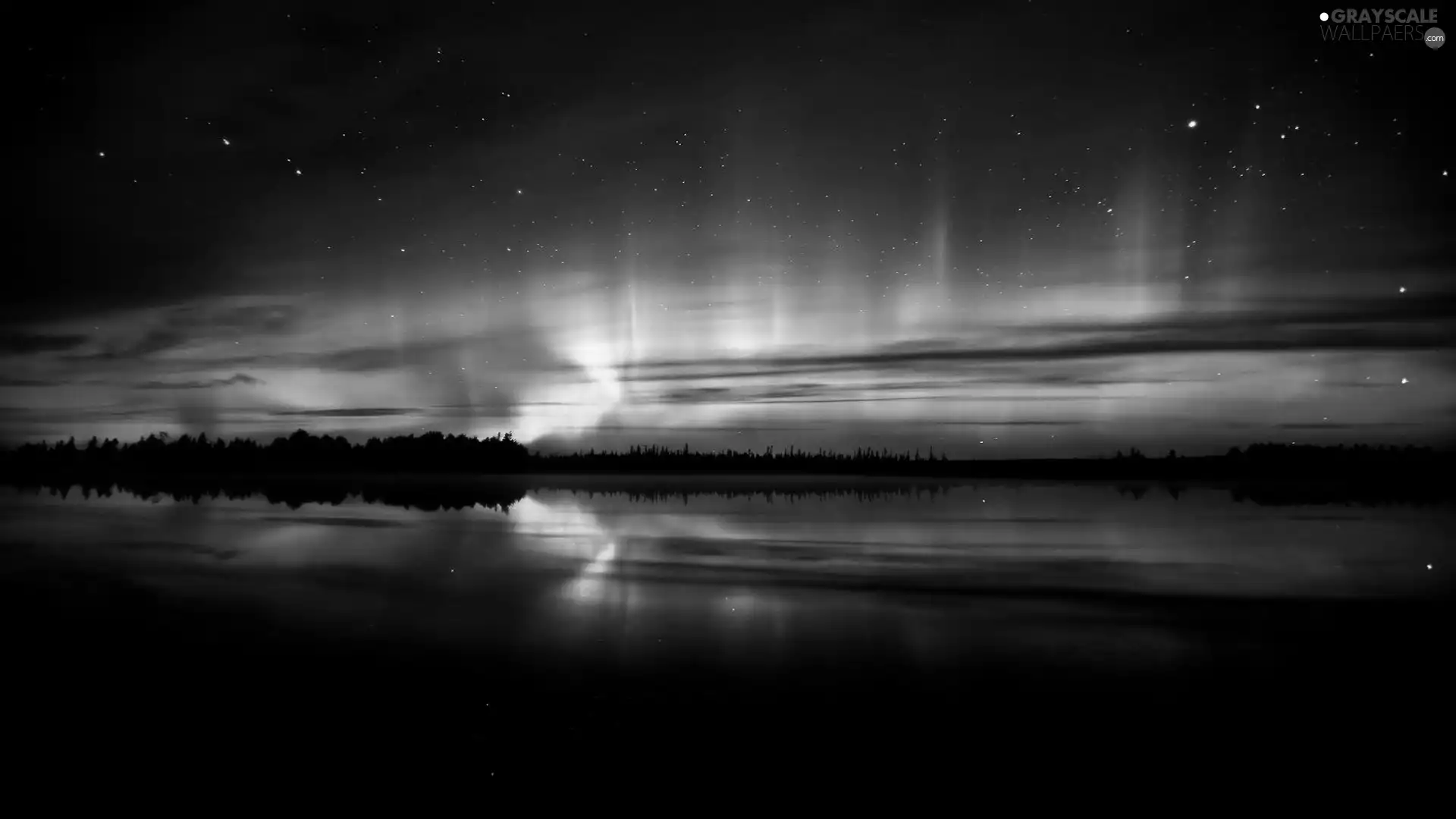 Polaris, forest, lake, dawn, Sky