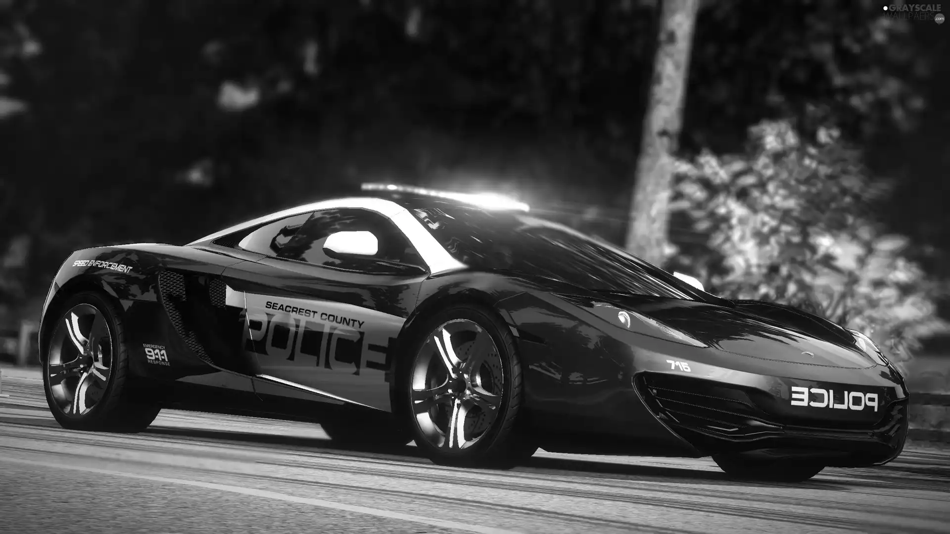 Need for Speed Hot Pursuit, Police