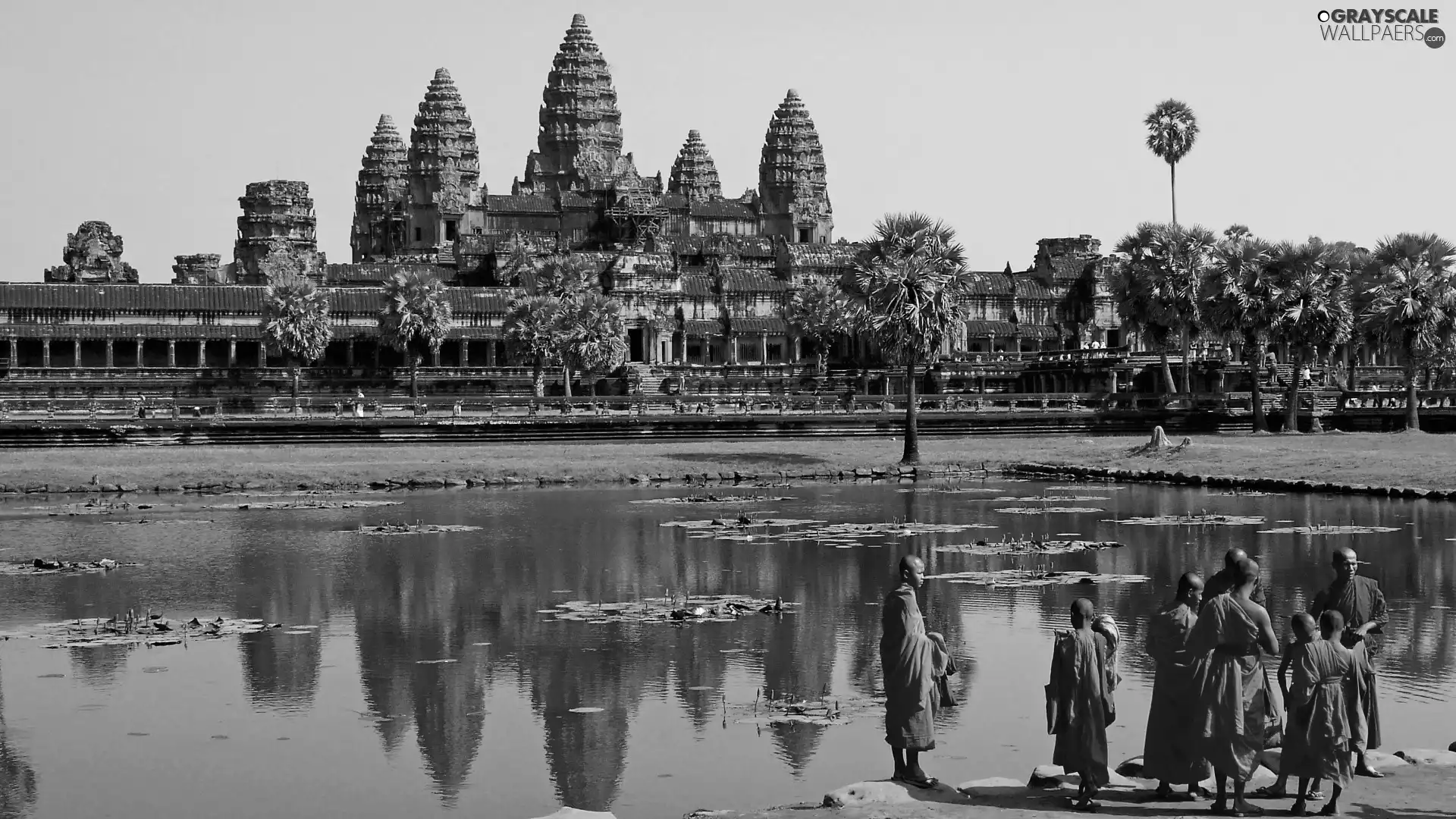 Cambodia, Monkish, Pond - car, Angkor Wat