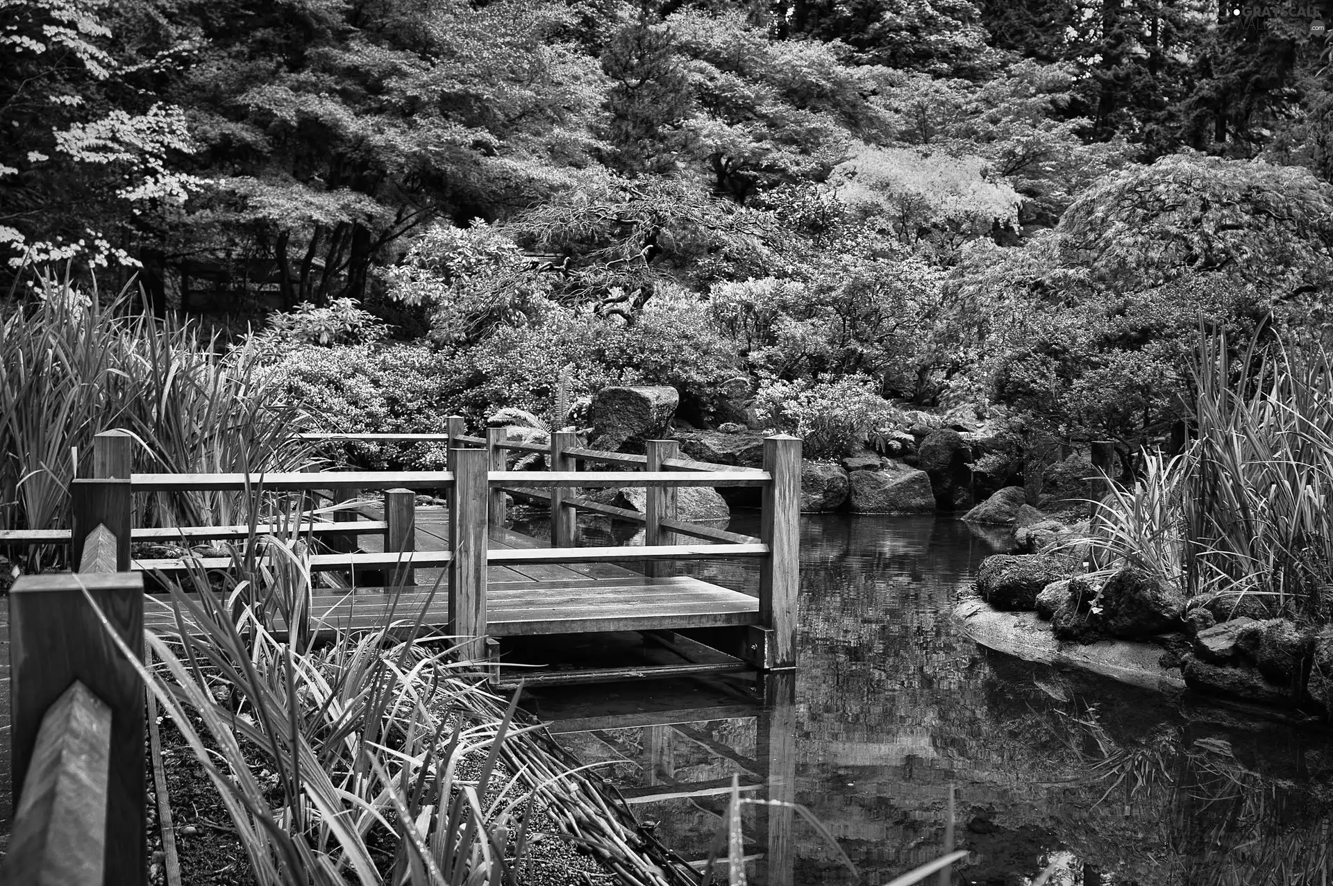 pond, autumn, japanese, Garden, Park