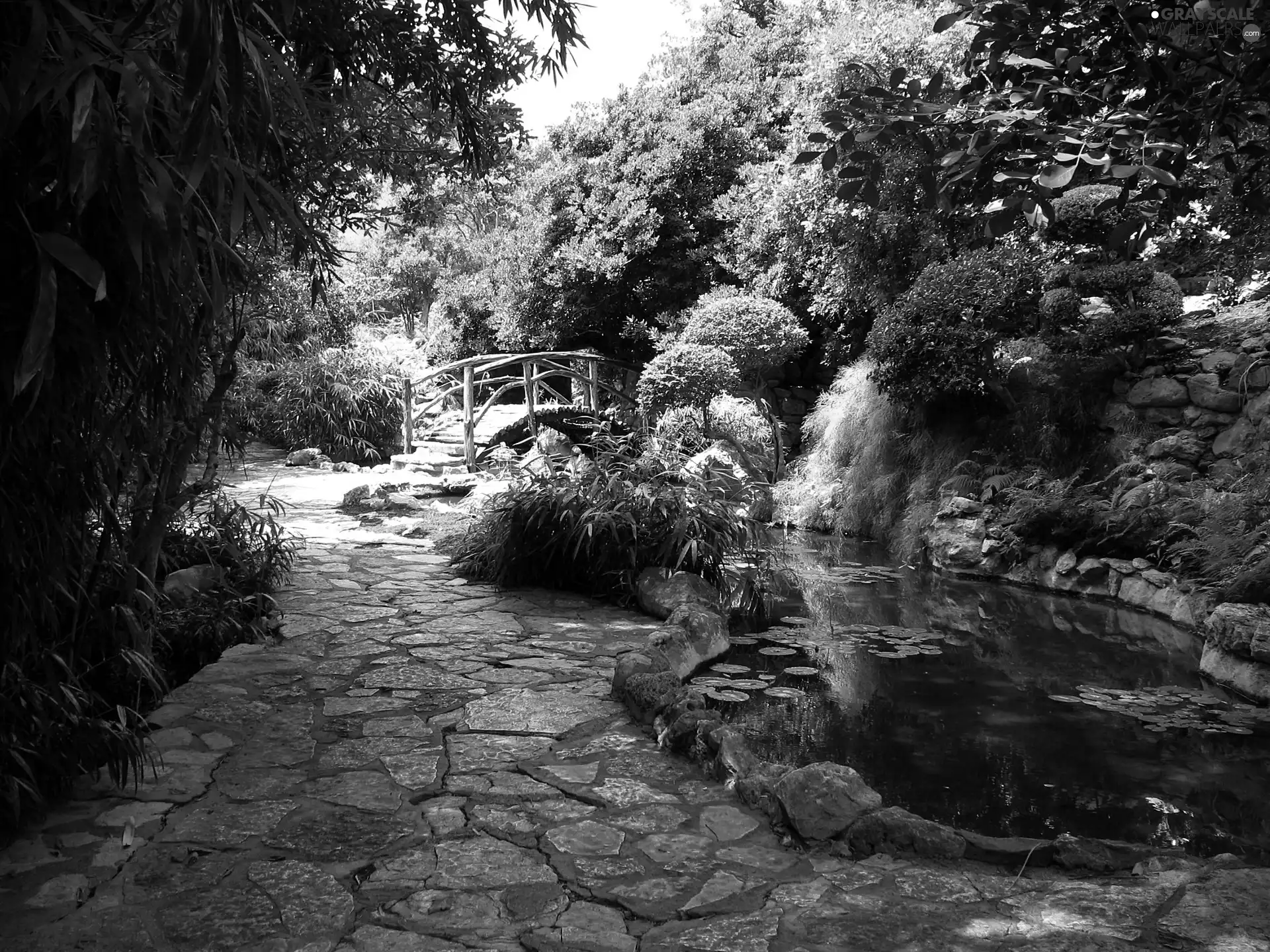 bridges, Park, Pond - car