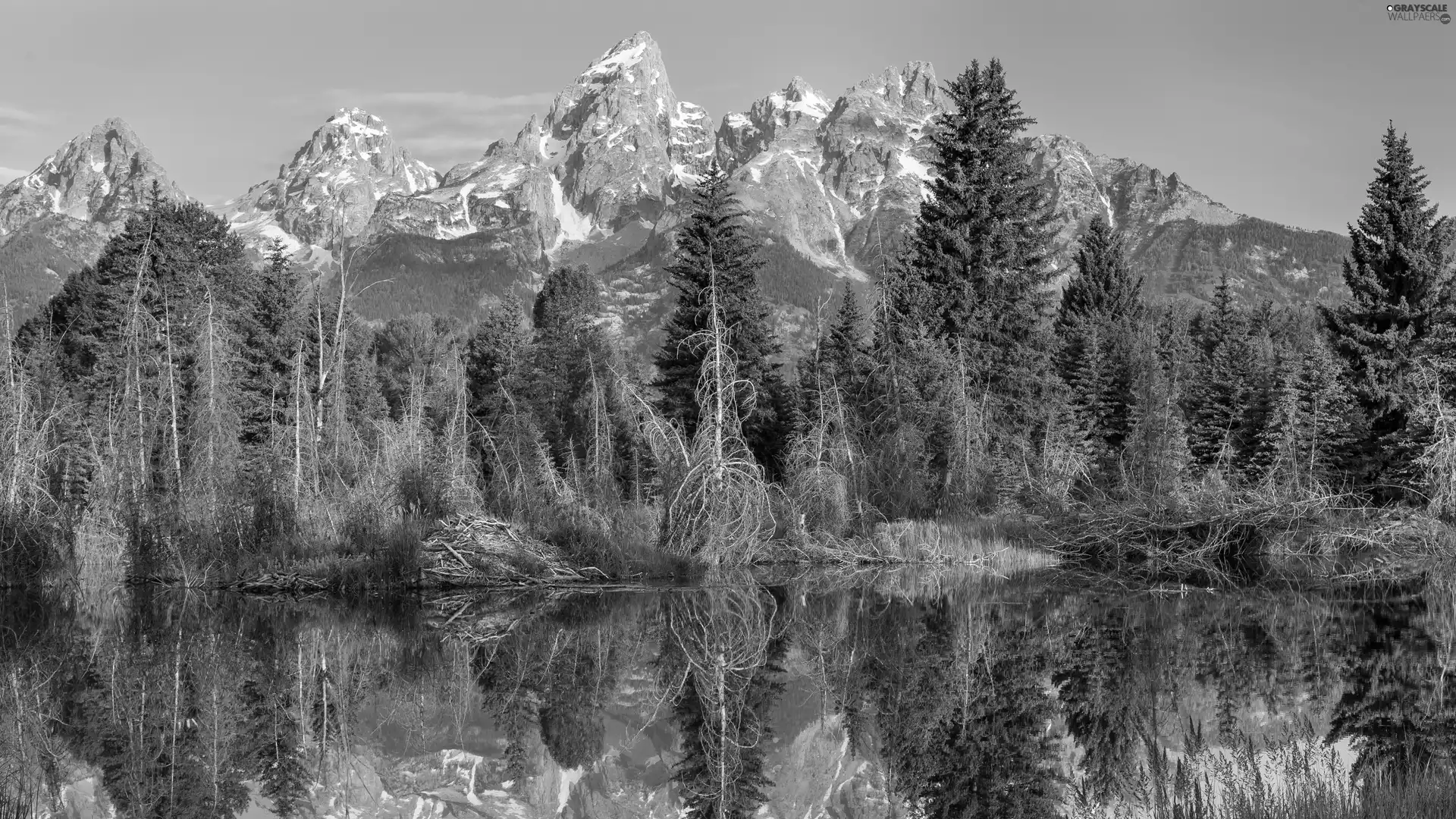 Mountains, Pond - car, reflection, forest