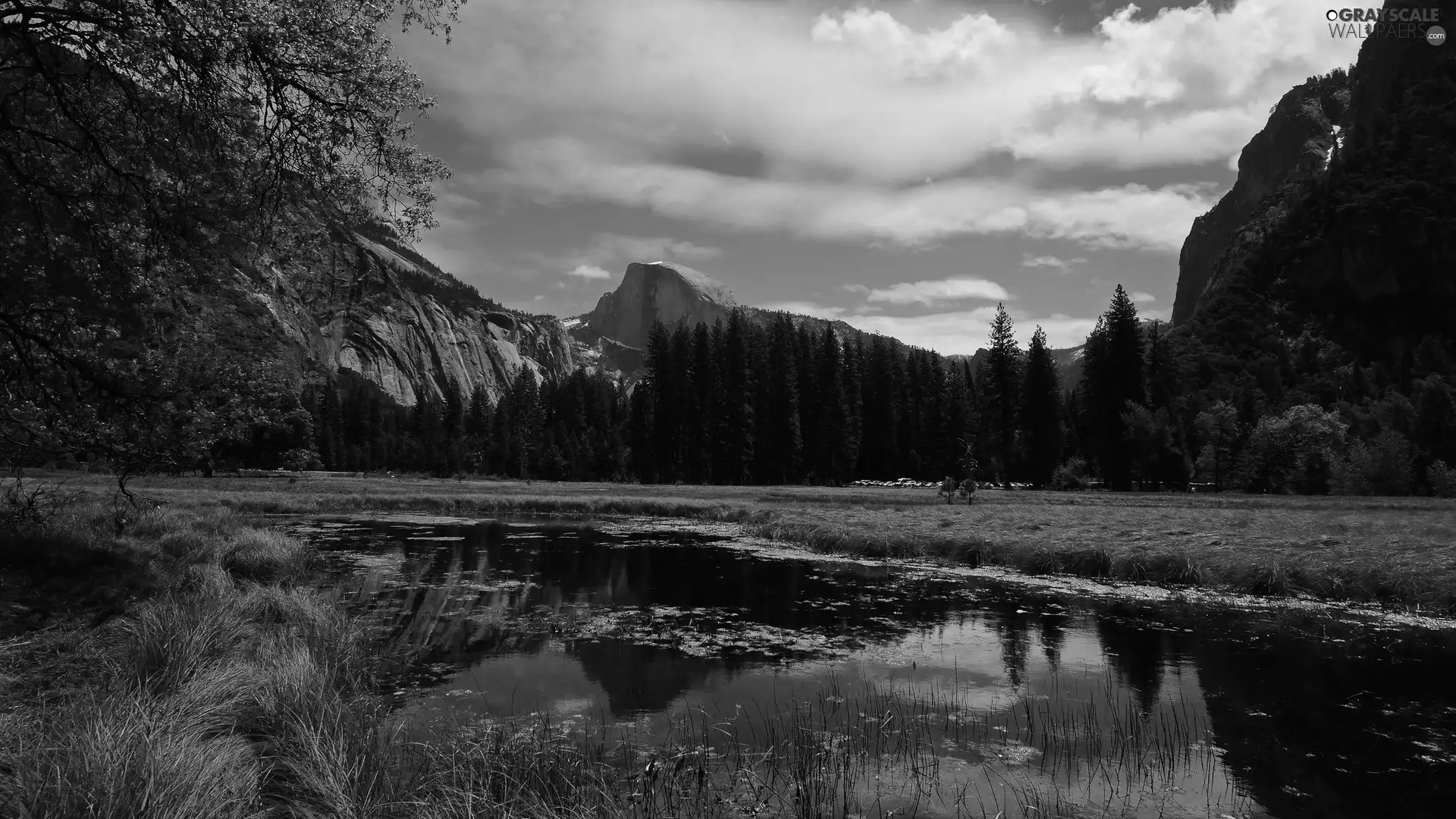 clouds, forest, Pond - car, Mountains