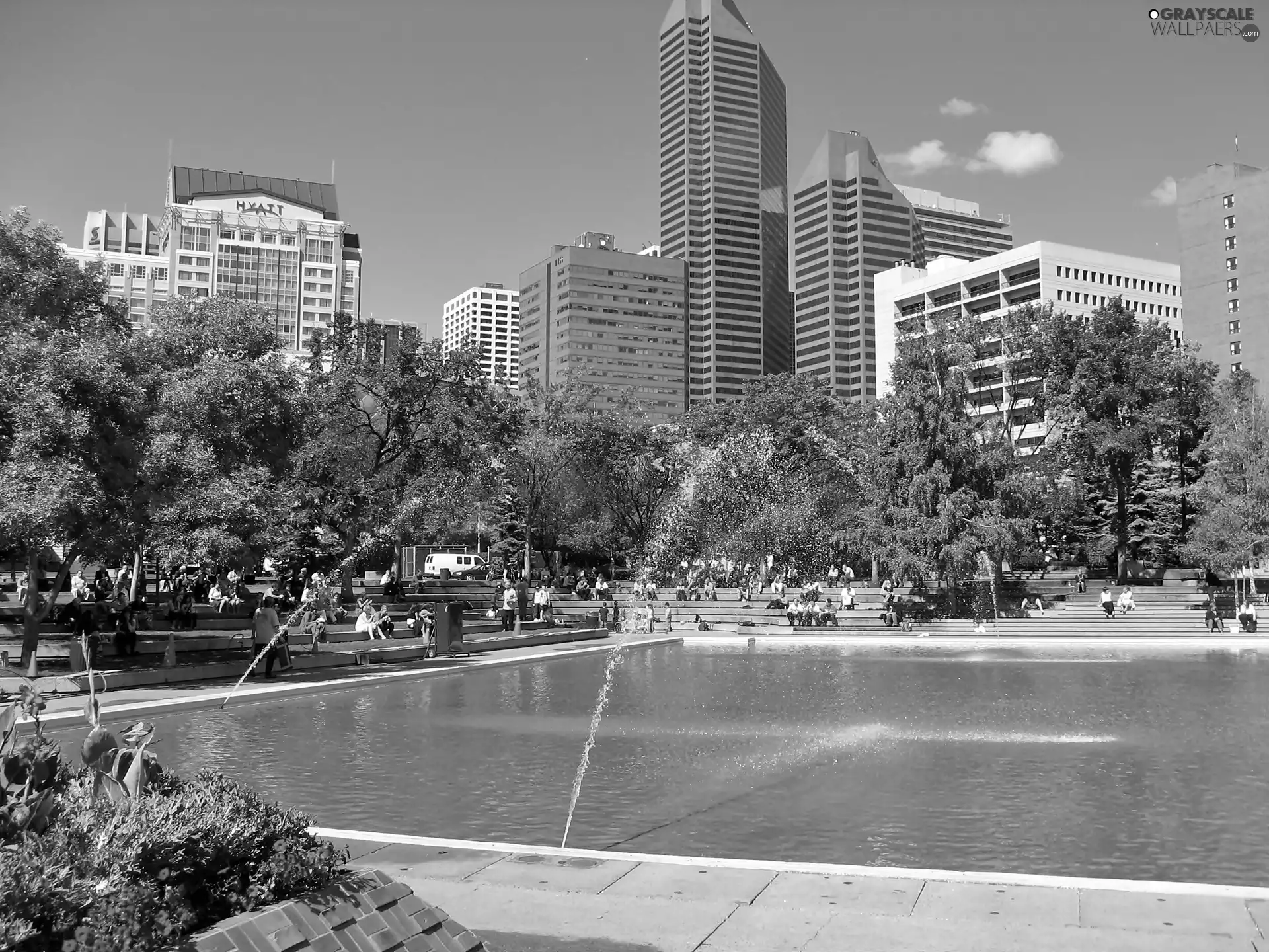 town, Calgary, pond, Fountains, Park, panorama