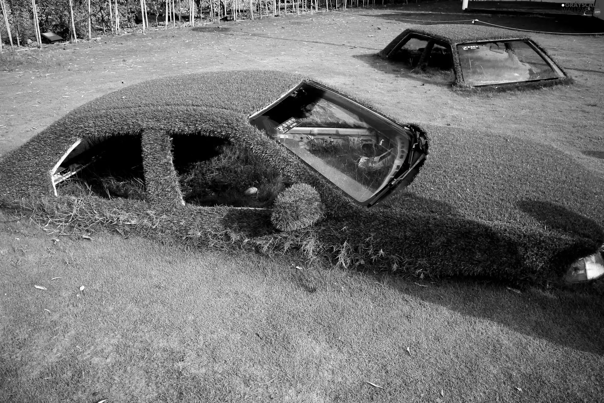 Moss, cars, Pond - car