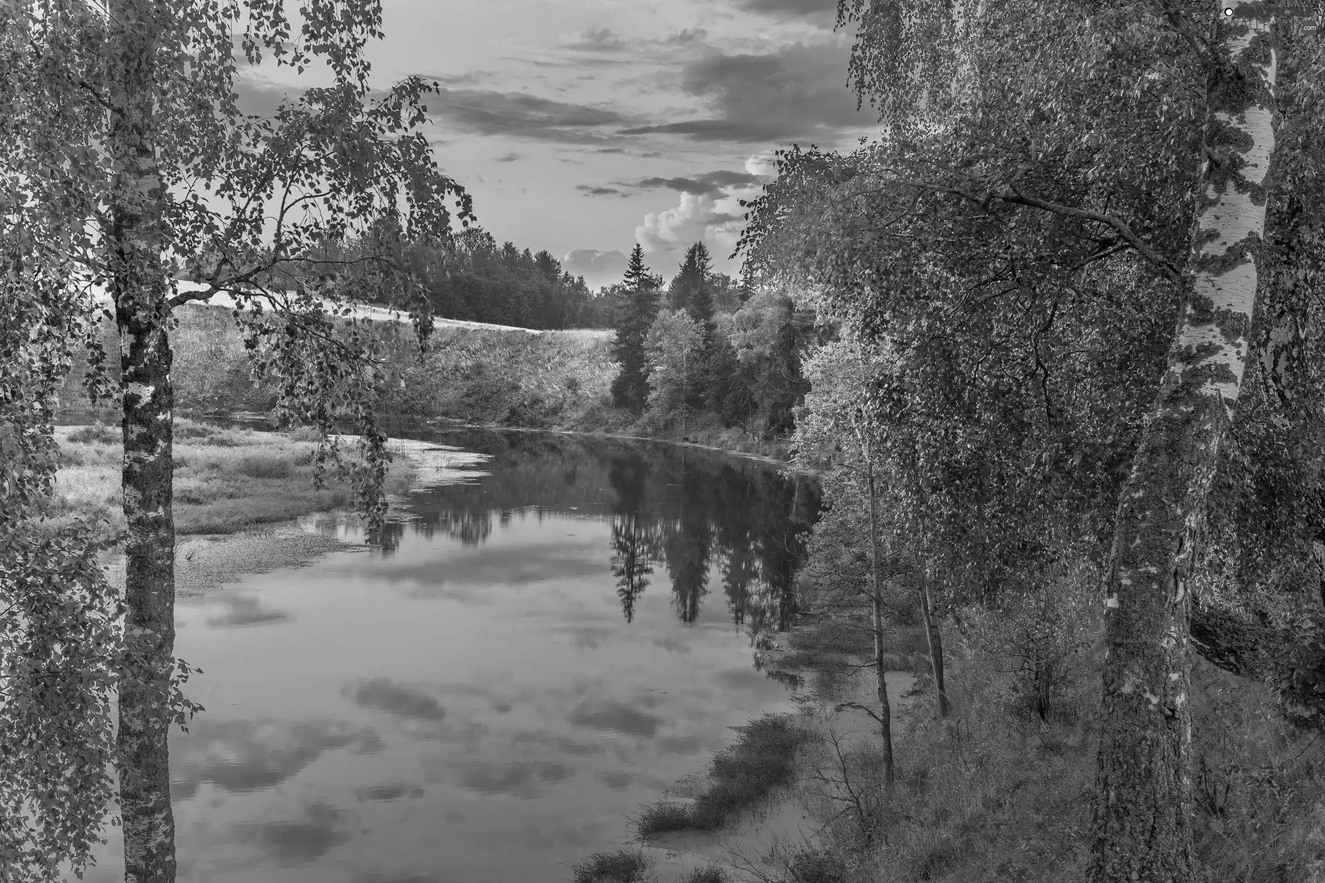 Pond - car, viewes, clouds, birch, trees, summer, Great Sunsets