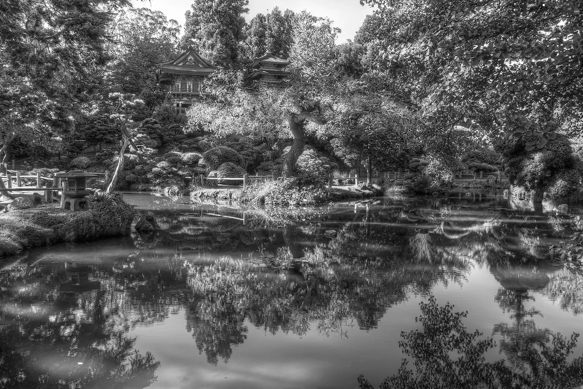 trees, viewes, Garden, Pond - car, San Francisco