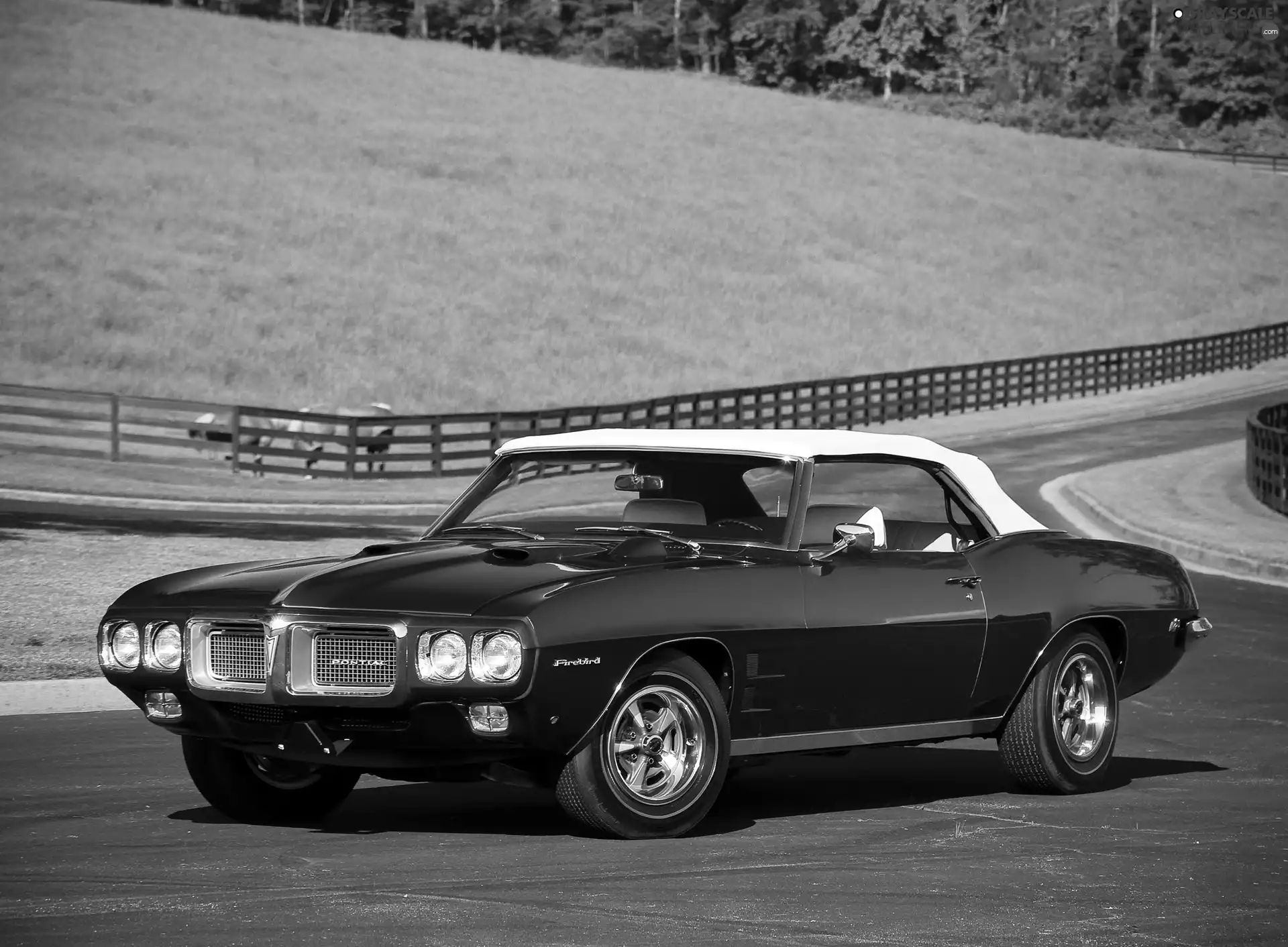 Pontiac Firebird, Cabriolet